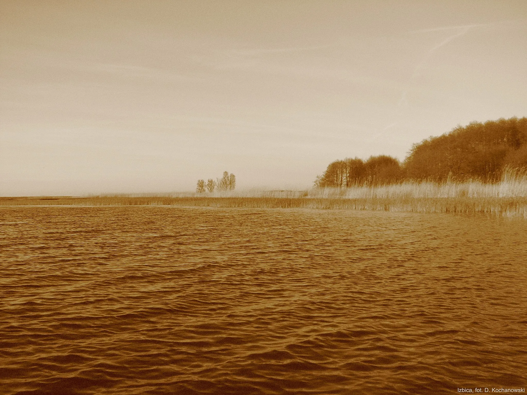Photo showing: Zdjęcie przedstawiające sukcesję ekologiczną - eutroficzne jezioro zarastające szuwarem trzcinowym.