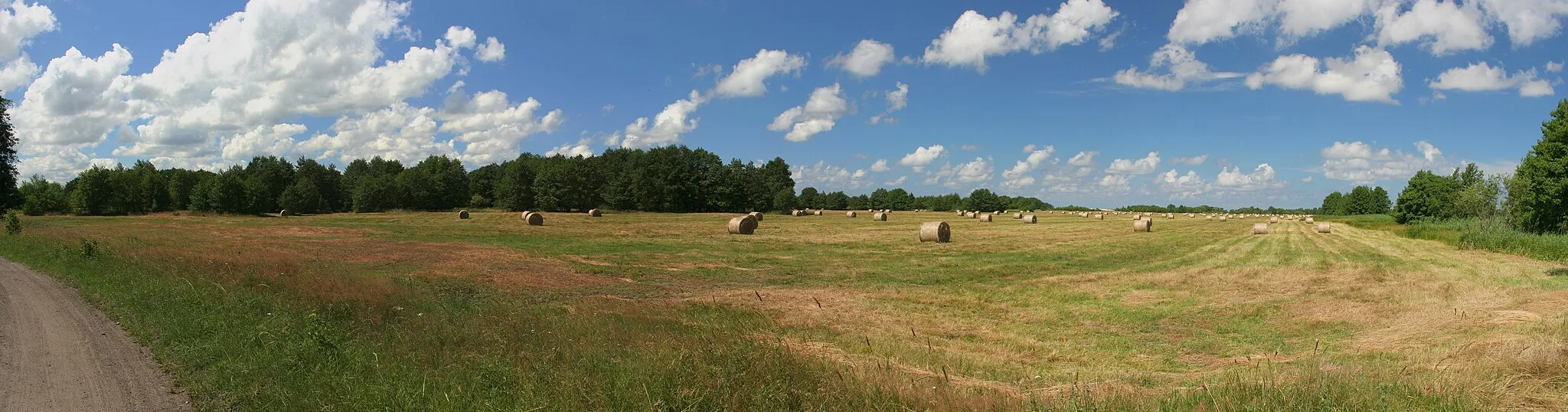 Photo showing: Field in Gać.