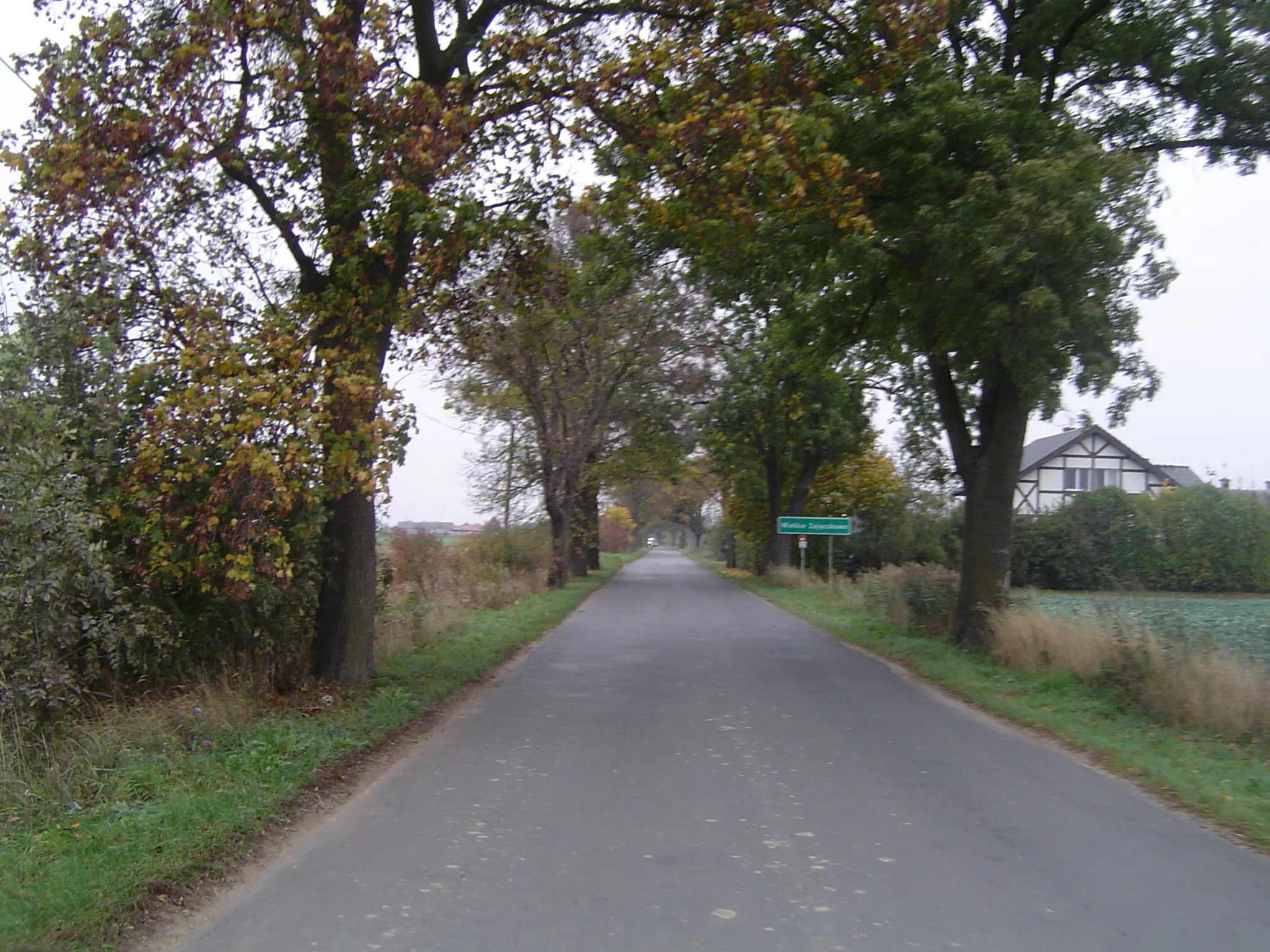 Photo showing: Wielkie Zajączkowo - village in Poland, Kuyavian-Pomeranian voivodeship.