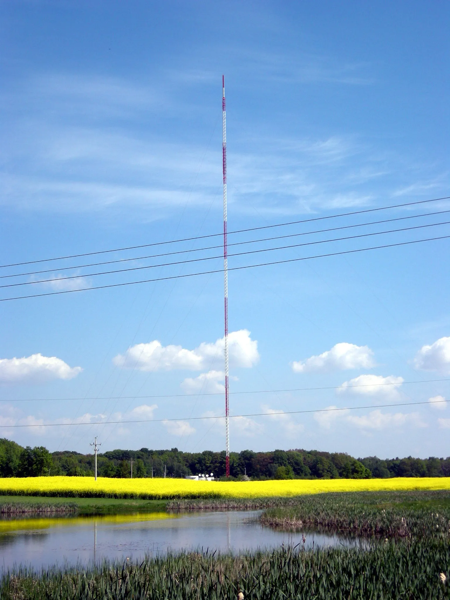 Photo showing: Transmitter mast in Limża, Poland