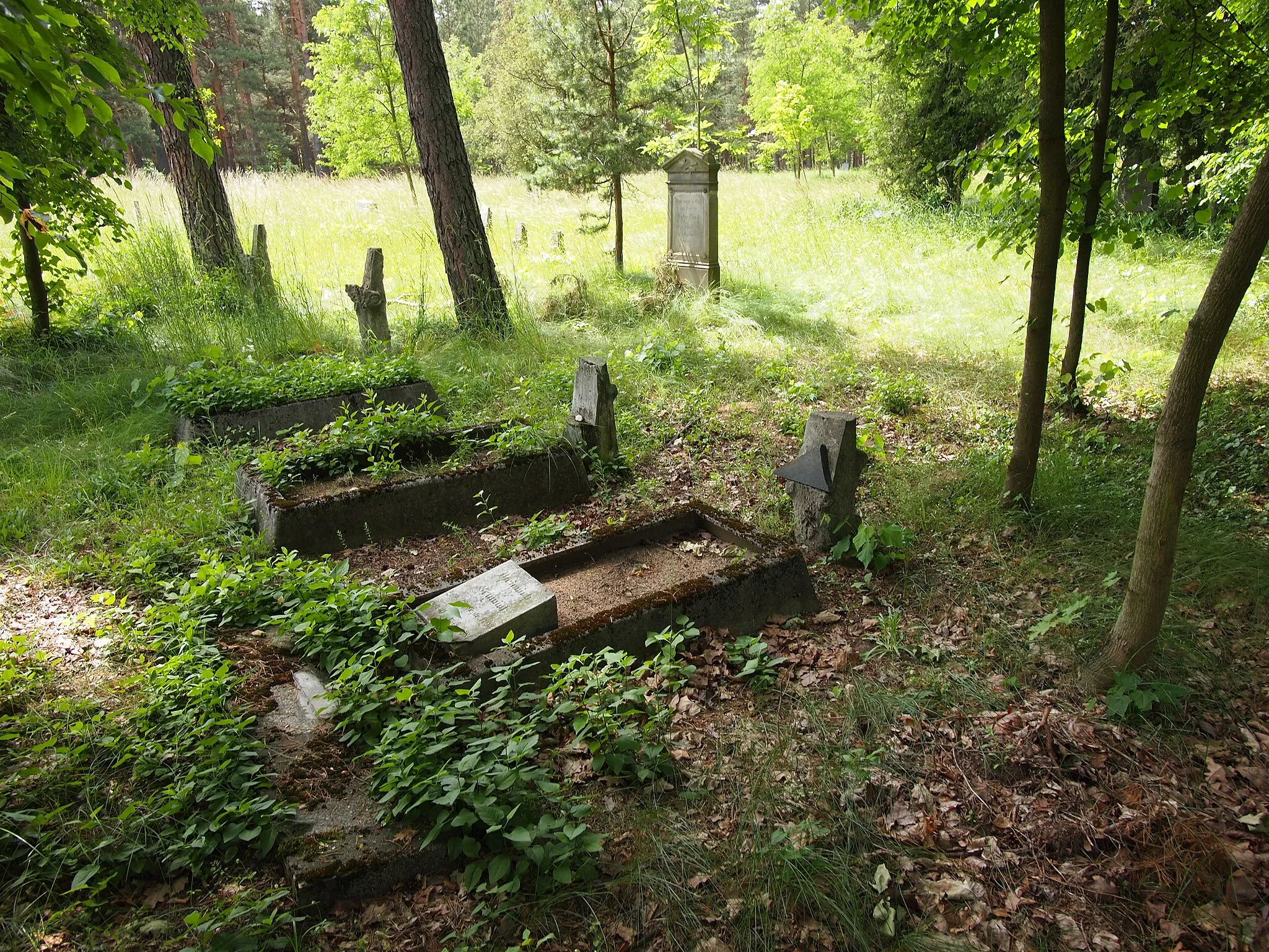 Photo showing: Mennonite cemetery