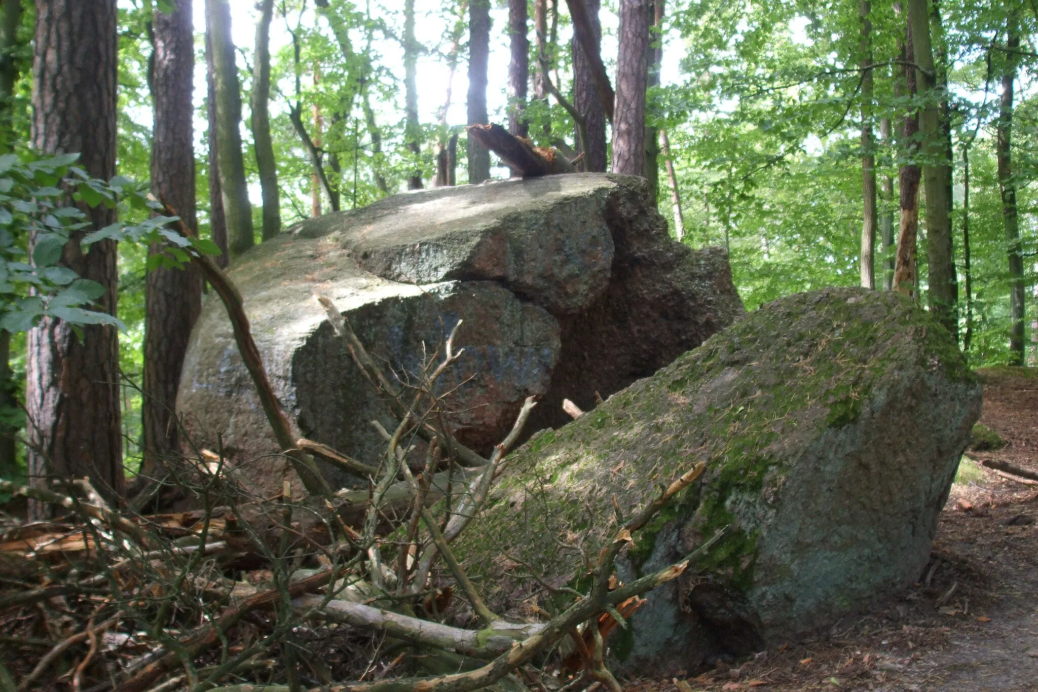 Photo showing: Diabelski kamień, Dolina Radości w Gdańsku, Poland.