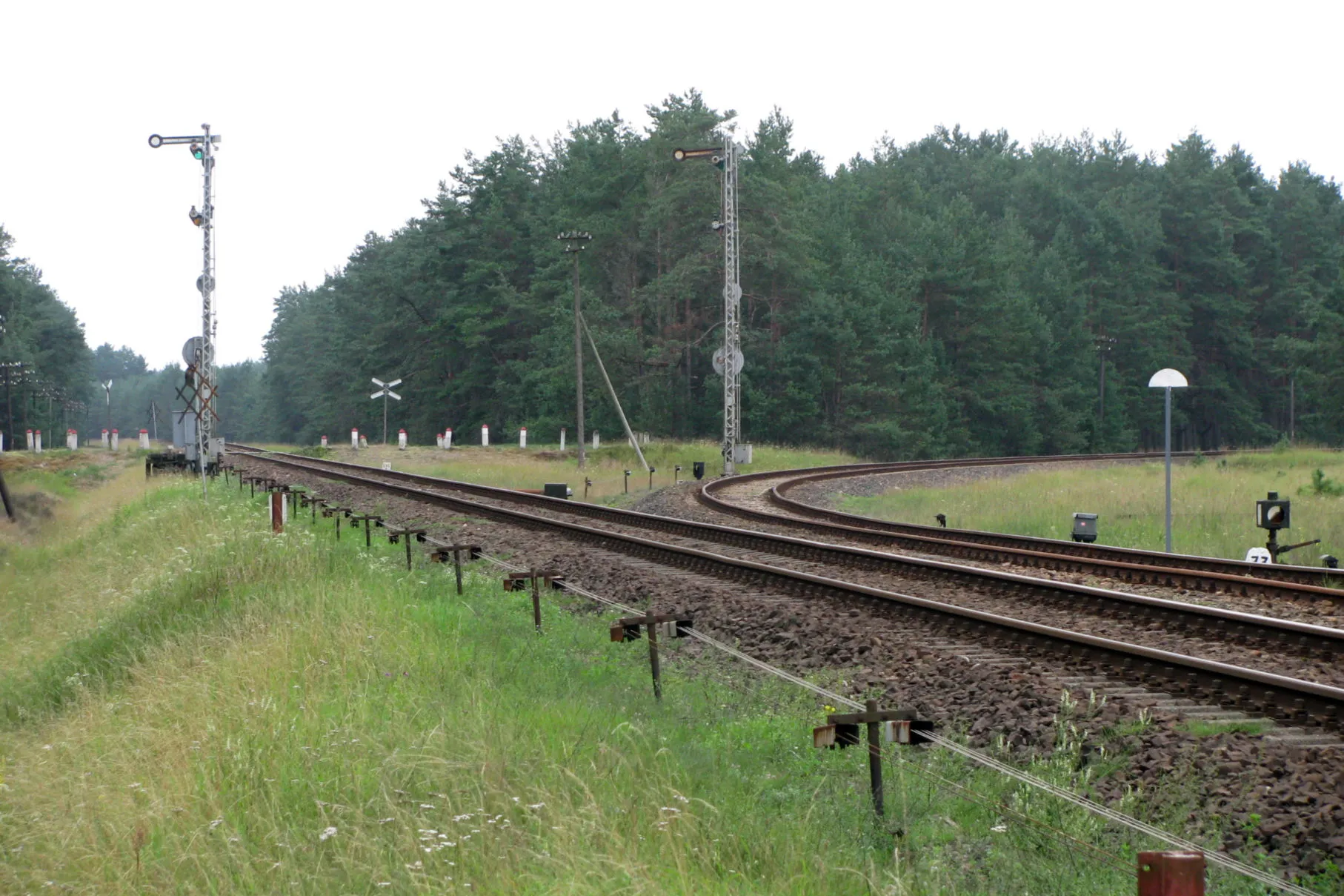 Photo showing: Widok z Bąku na południe.