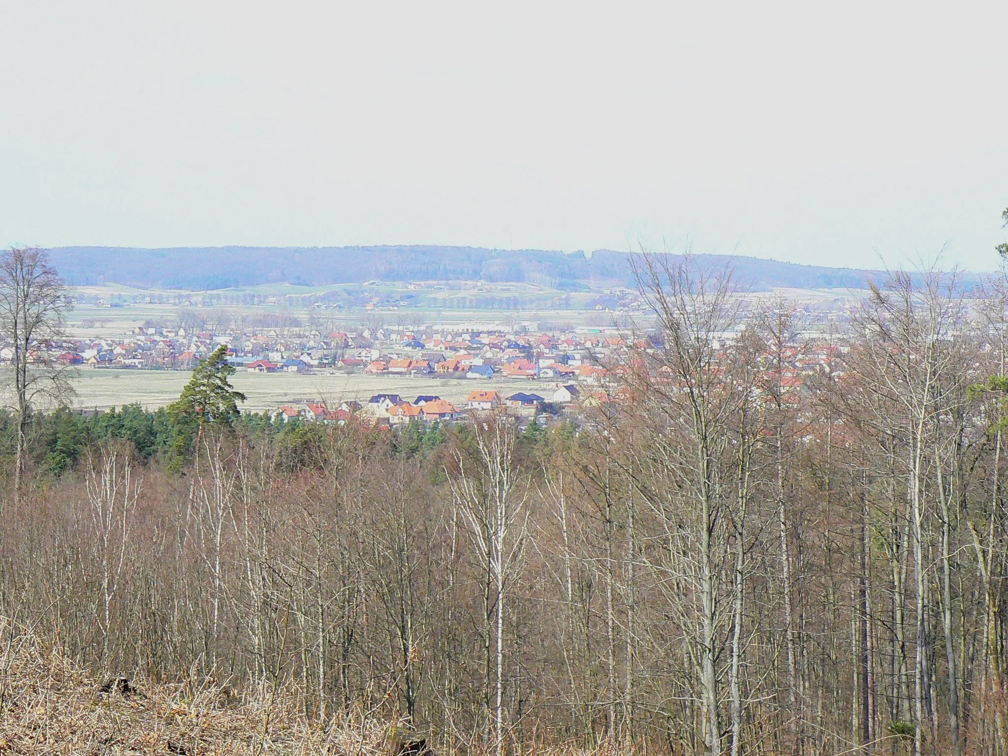 Photo showing: Panorama Lęborka