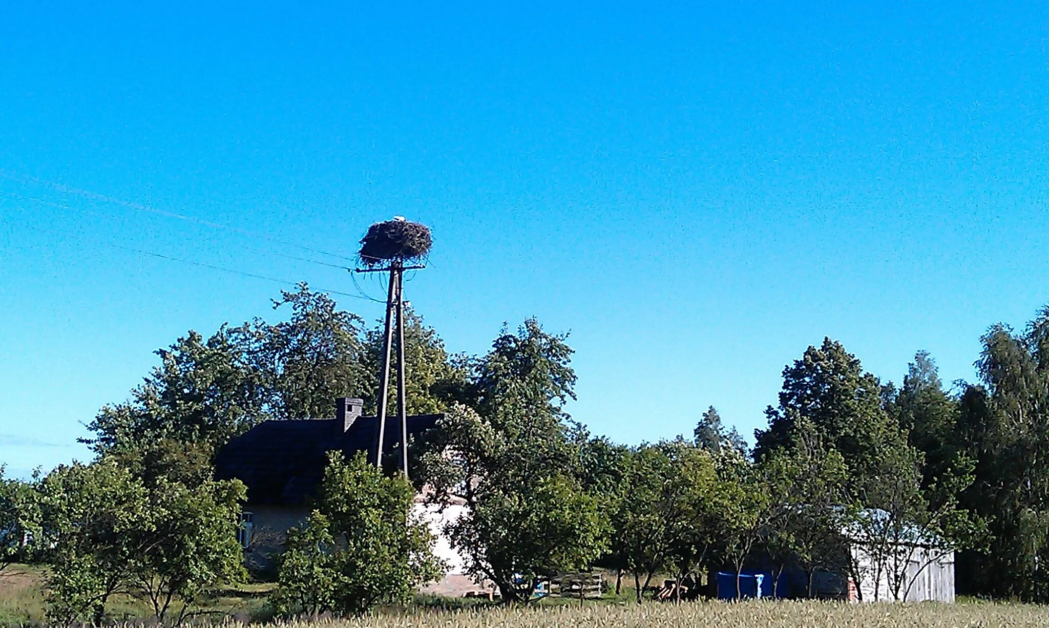Photo showing: Stork nest in Gapowo - Lubnia, Pomeranian Voivodeship, Poland