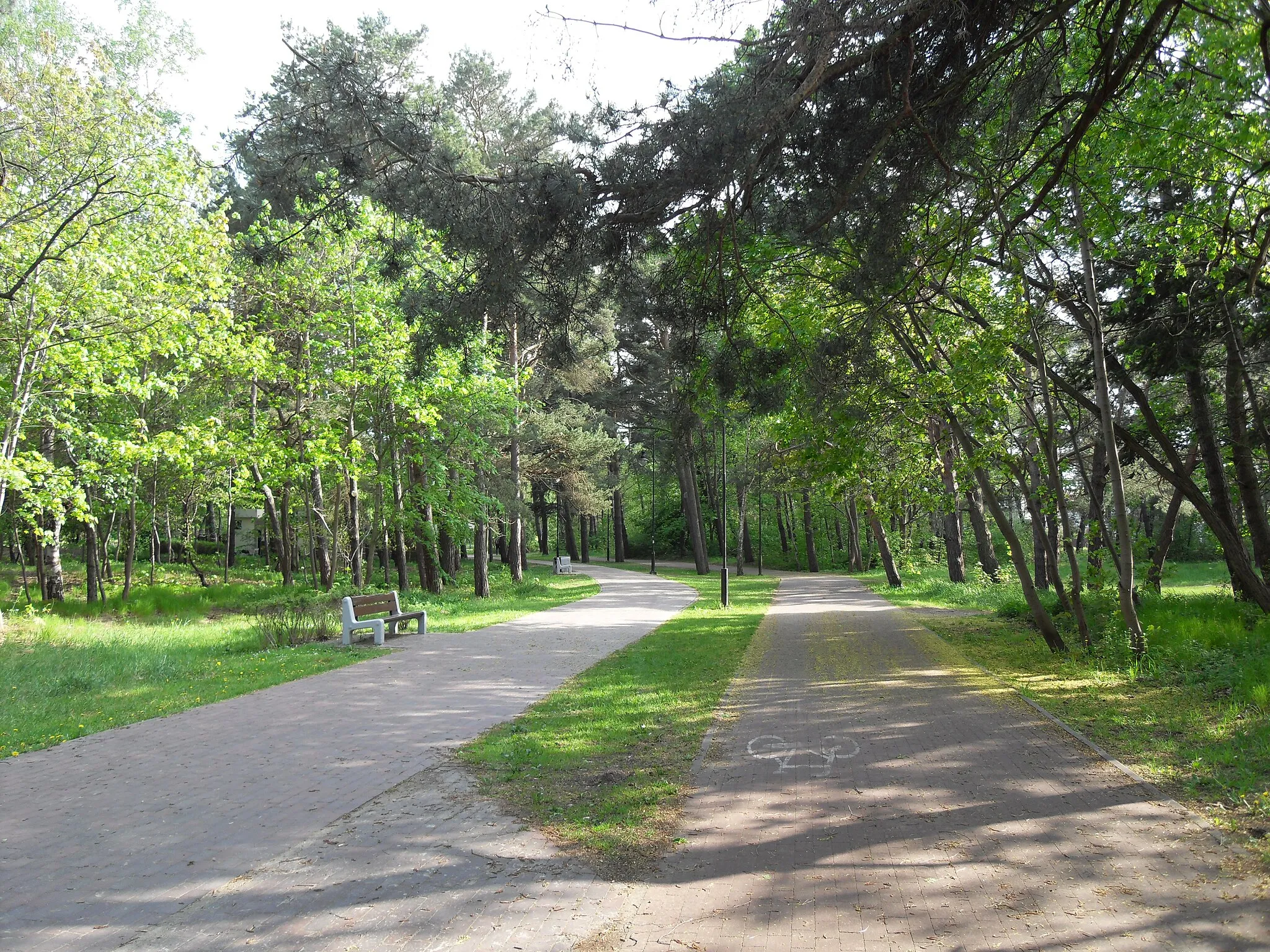 Photo showing: Gdańsk Jelitkowo. Park Jelitkowski (nadmorski park).
