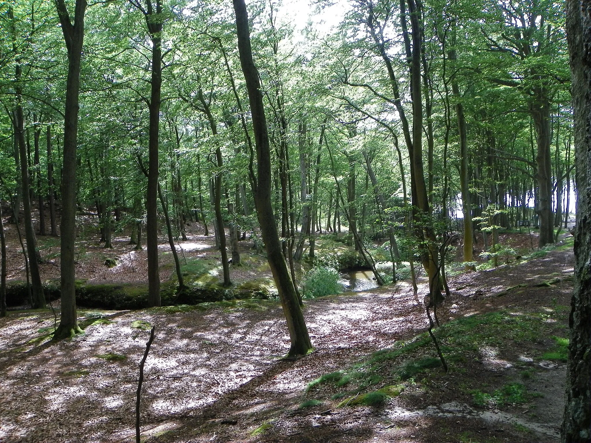 Photo showing: This is a photography of protected area with CRFOP ID