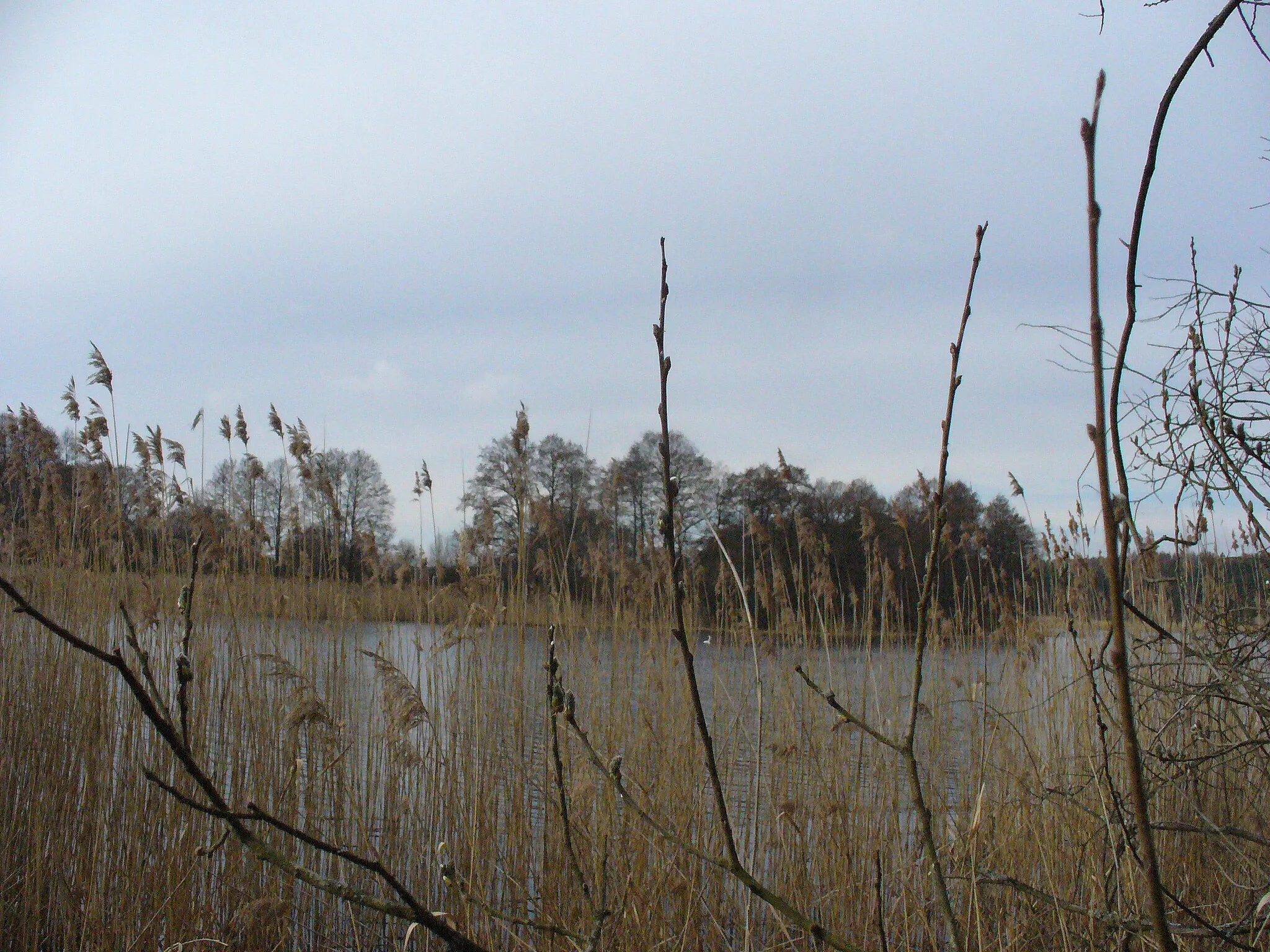 Photo showing: Jezioro Krępsko