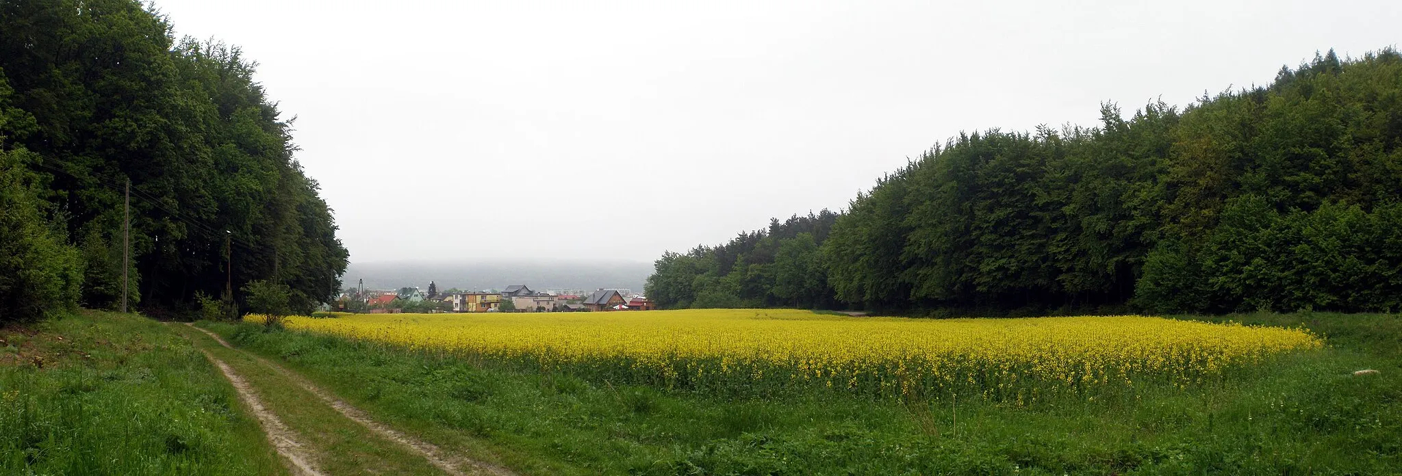 Photo showing: Wejherowo, polana koło ul. Roszczynialskiego