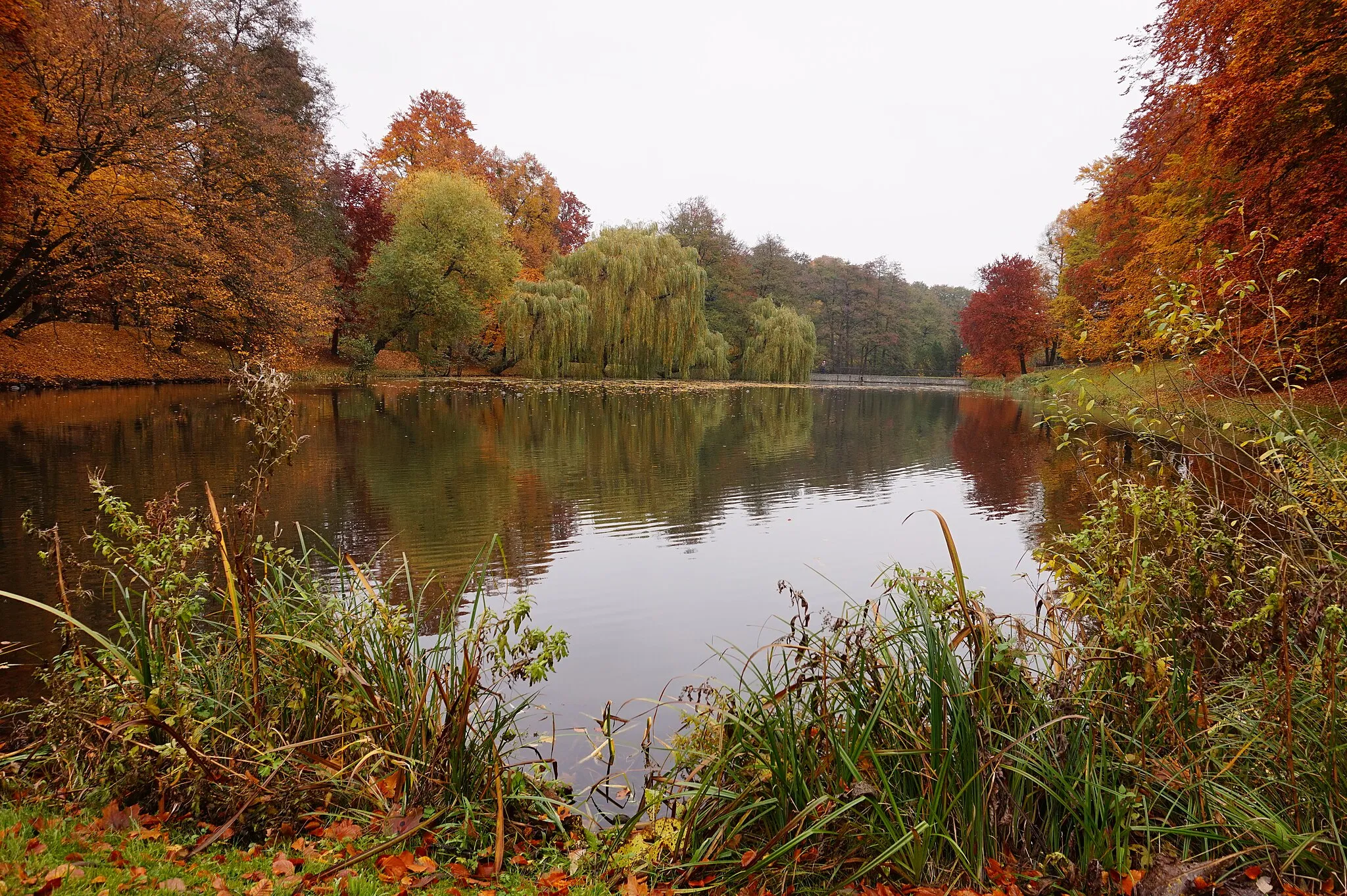 Photo showing: Staw w Parku Oruńskim, Gdańsk-Orunia.