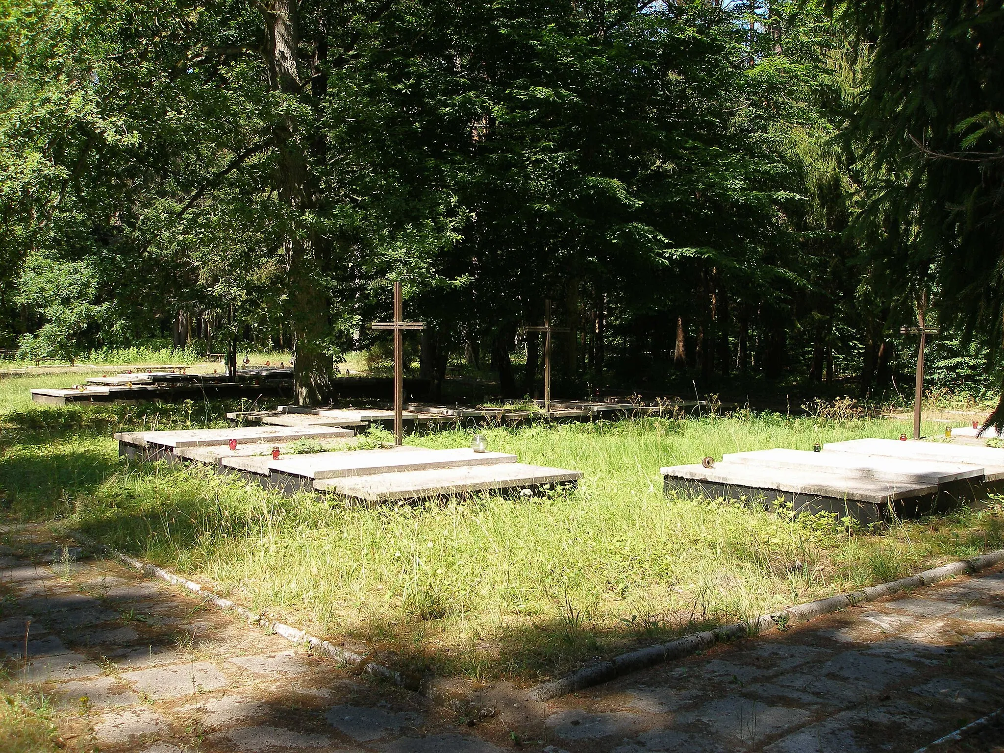 Photo showing: Graves of murdered prisoners in Stutthof concentration camp