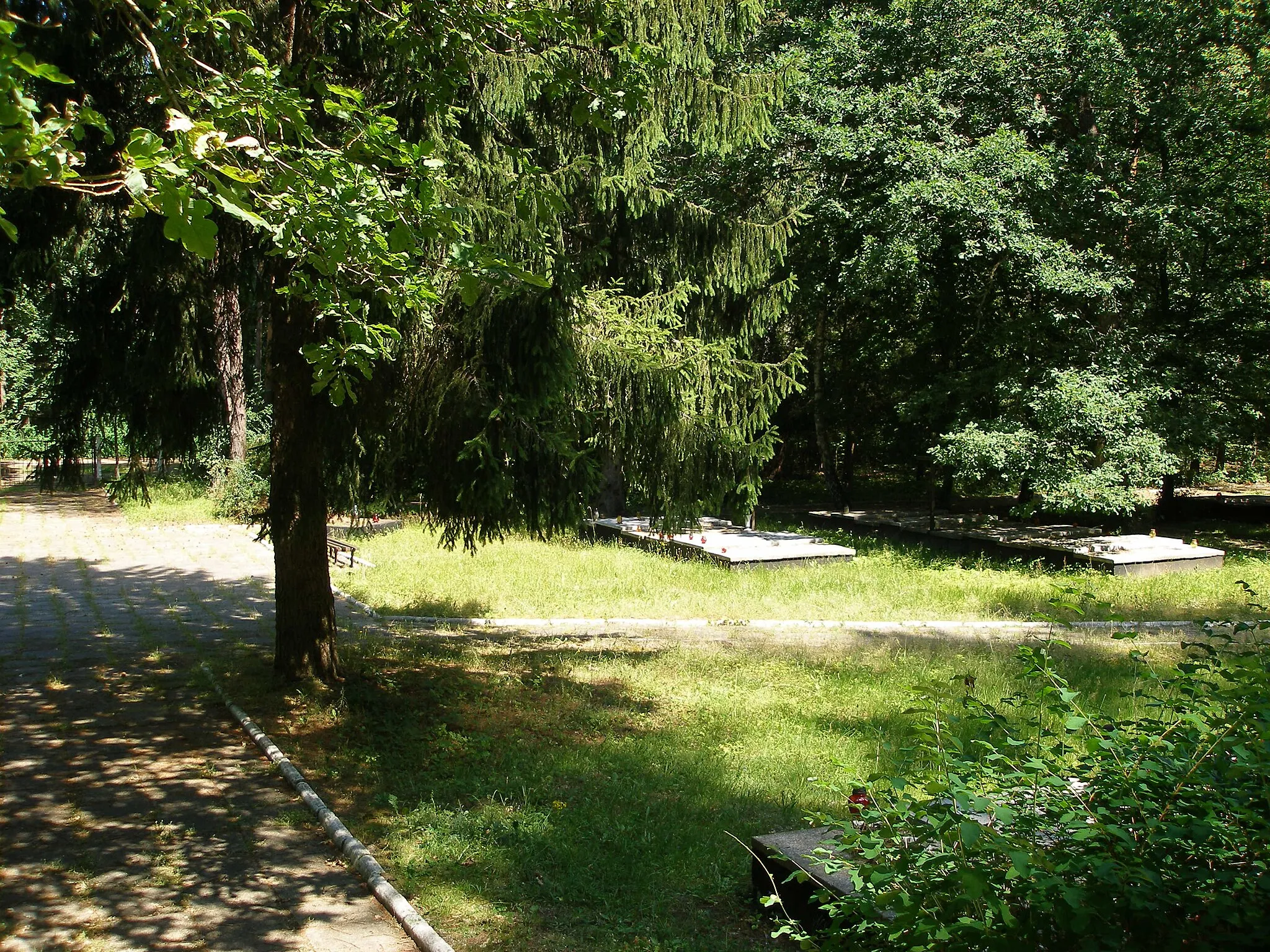 Photo showing: Graves of murdered prisoners in Stutthof concentration camp