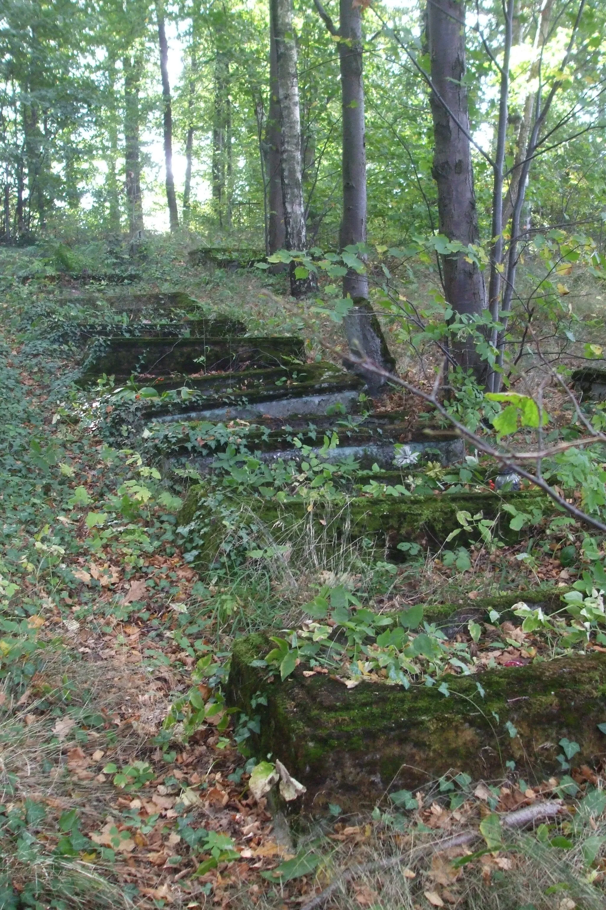 Photo showing: Karczemki - stary cmentarz