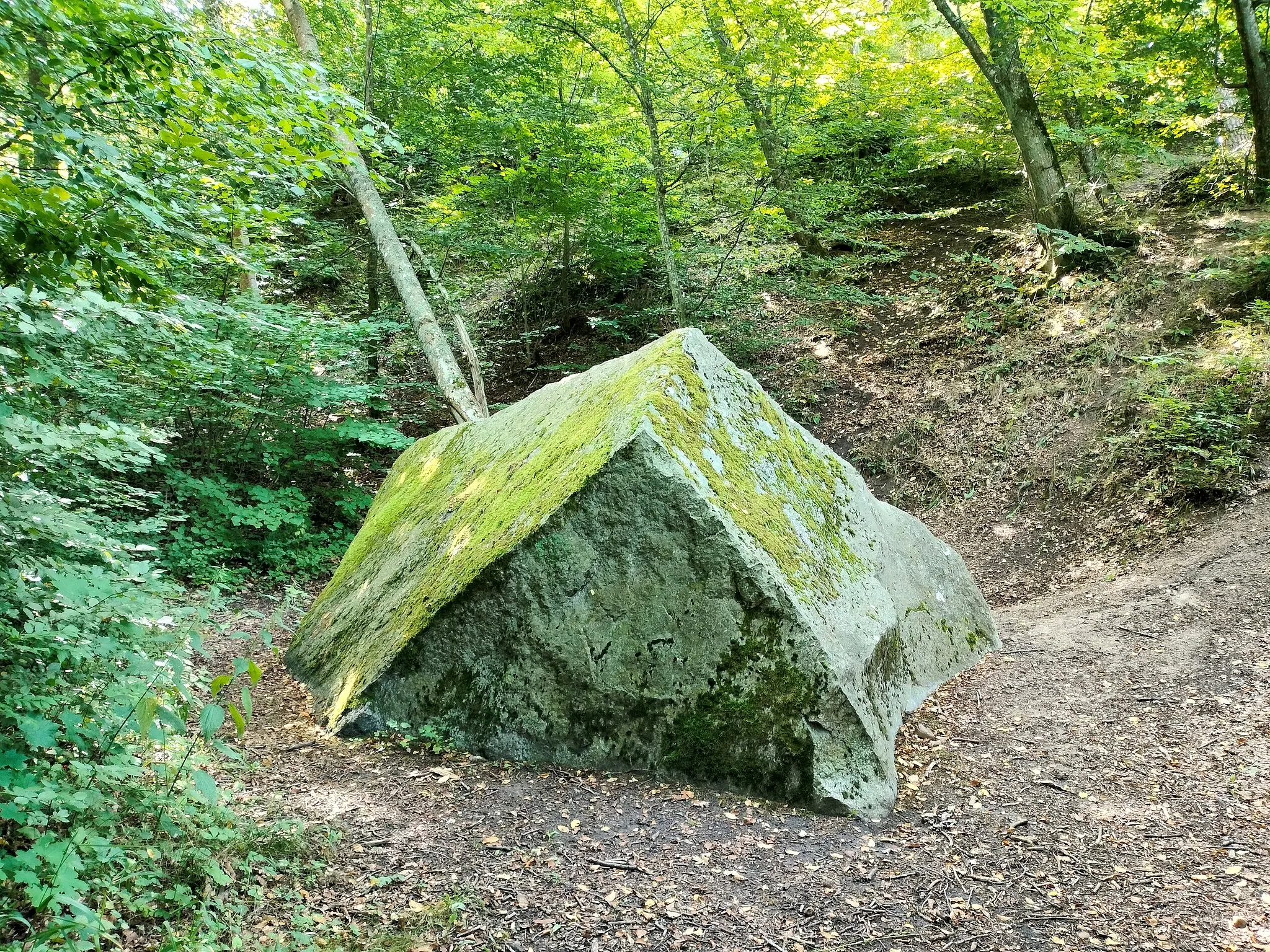Photo showing: Kisewo (gm. Lęczyce) - tzw. Diabelski Kamień w lesie na pd. od wsi.