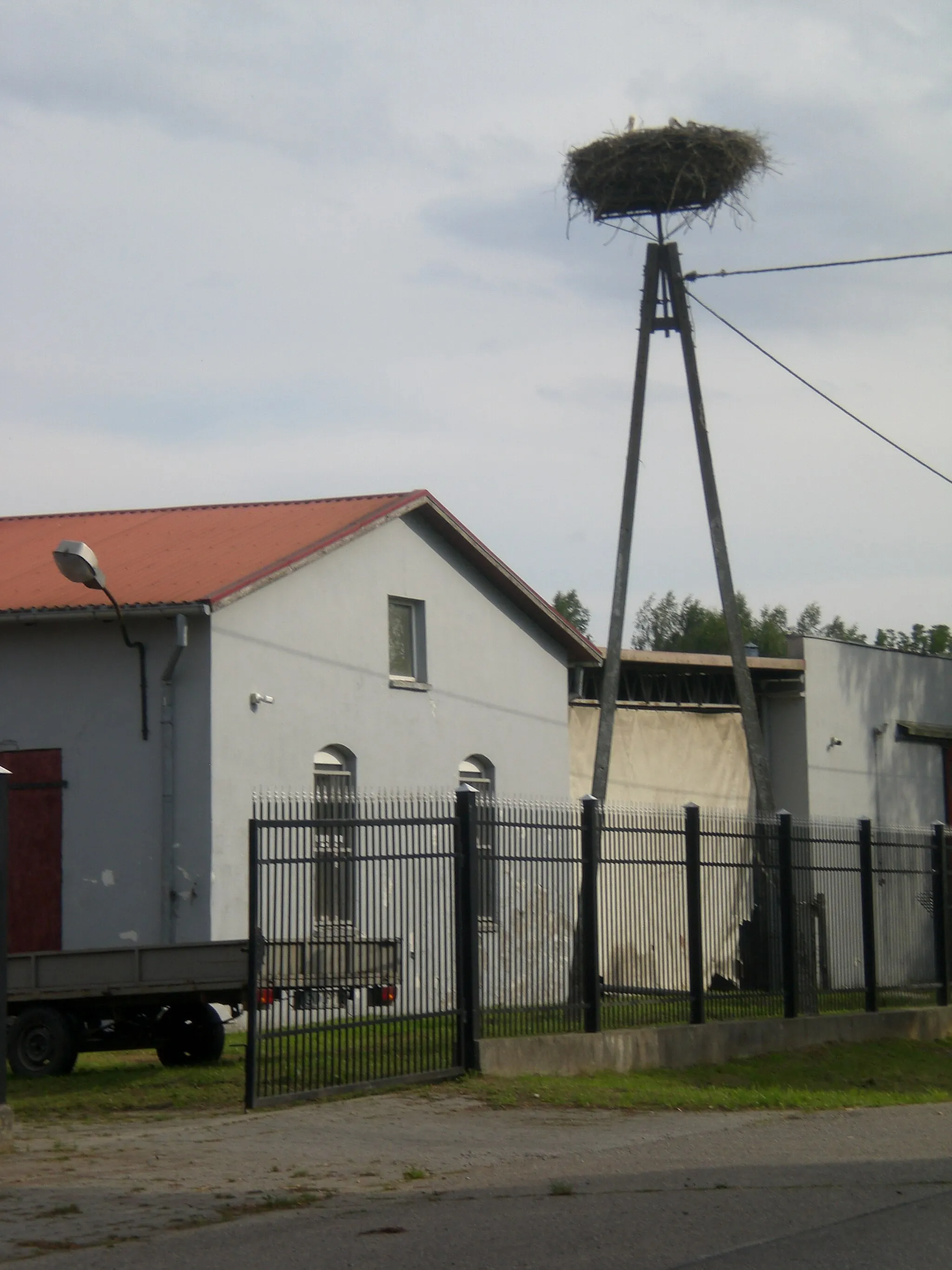 Photo showing: Piaskowiec - bocianie gniazdo