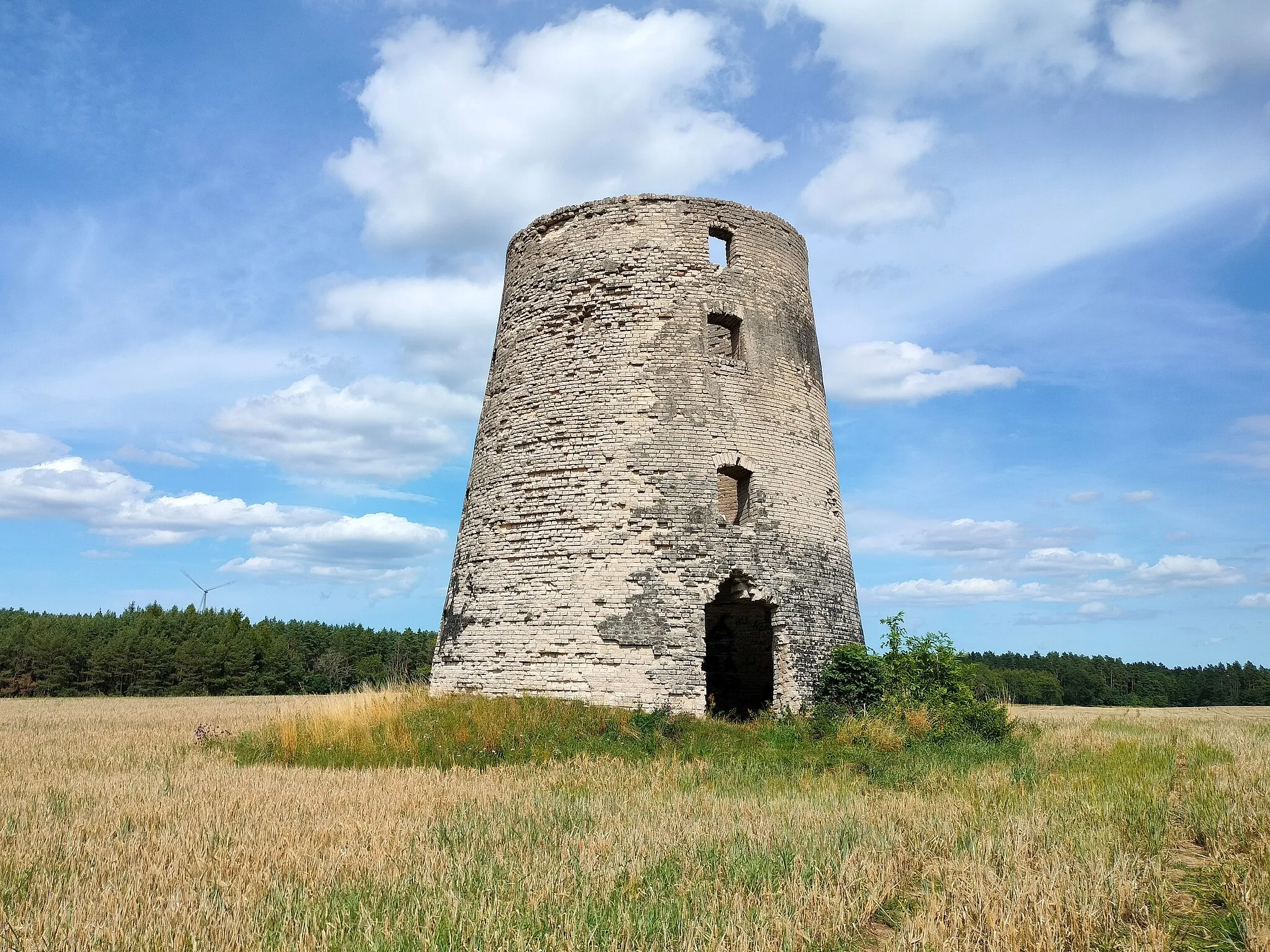 Photo showing: Pużyce (gm. Łęczyce) - ruina wiatraka typu holenderskiego z końca XIX w.