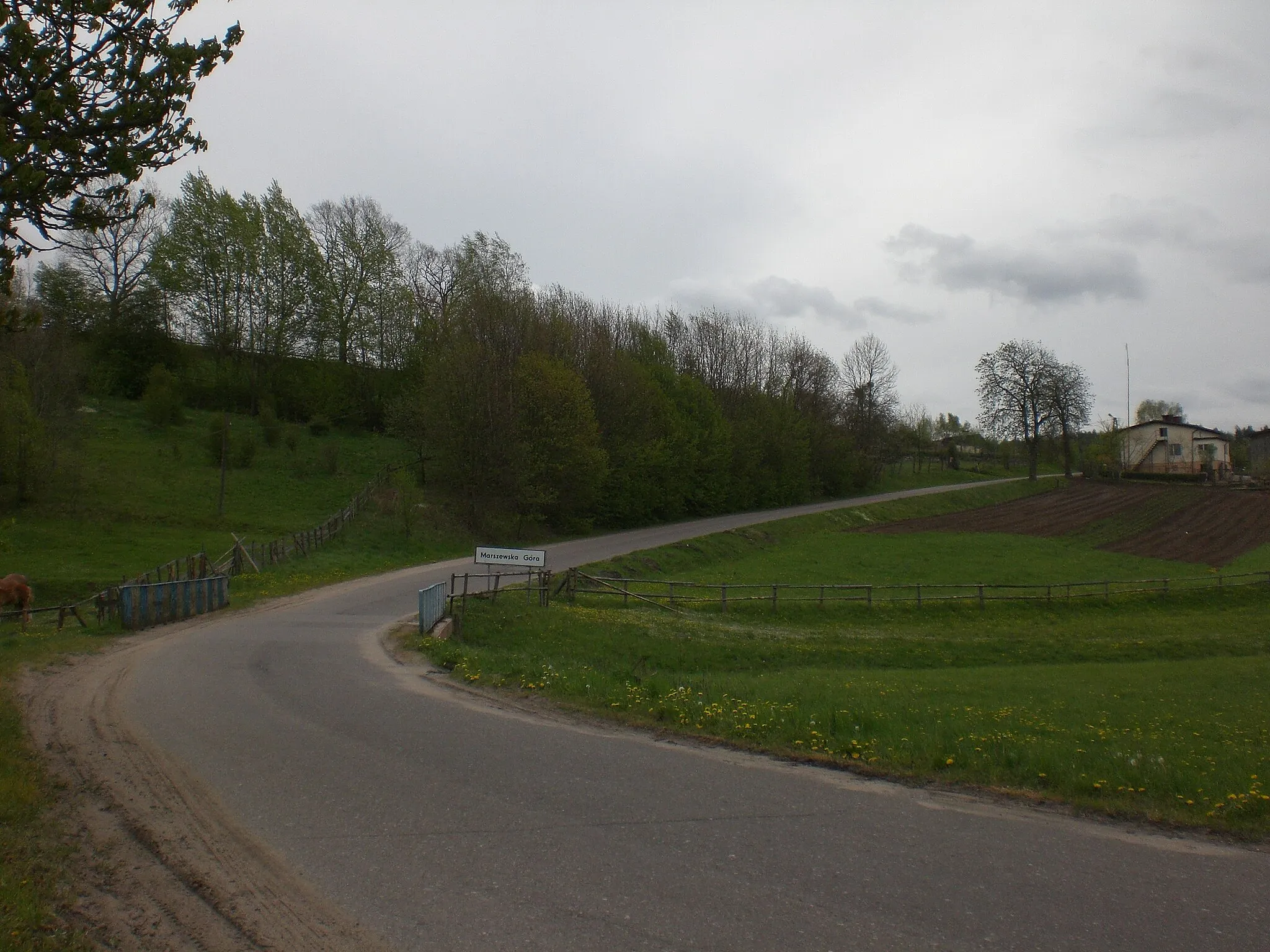 Photo showing: Road in Marszewska Góra