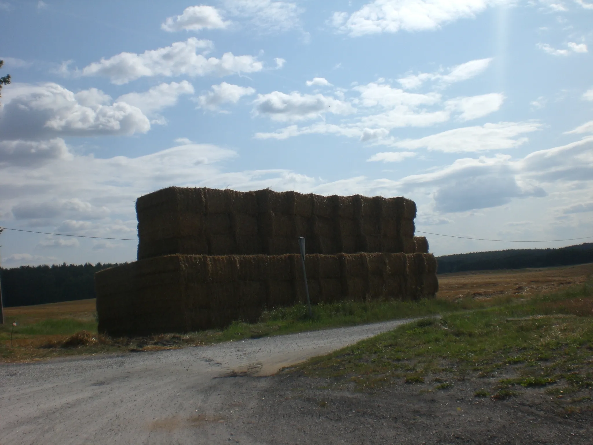 Photo showing: Czarne Małe, harvest