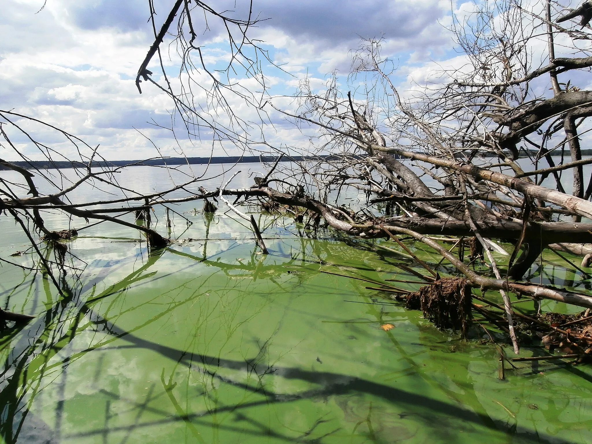 Photo showing: This is a a picture of a Natura 2000 protected area with ID