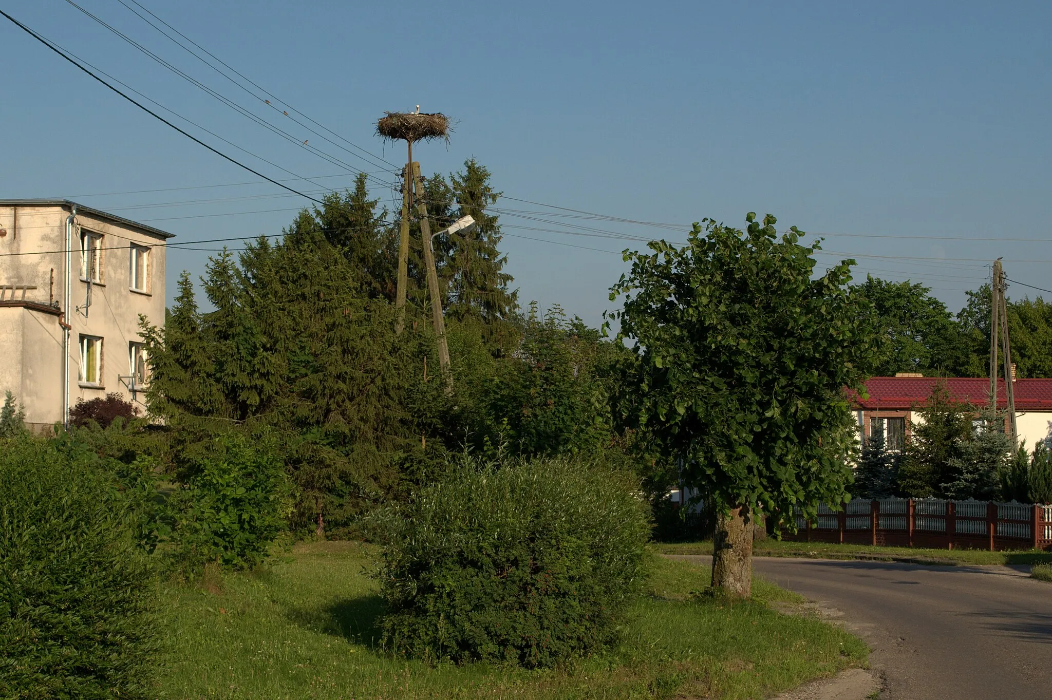 Photo showing: Stork nest in Mądrzechowo, pomeranian voivodeship, Poland