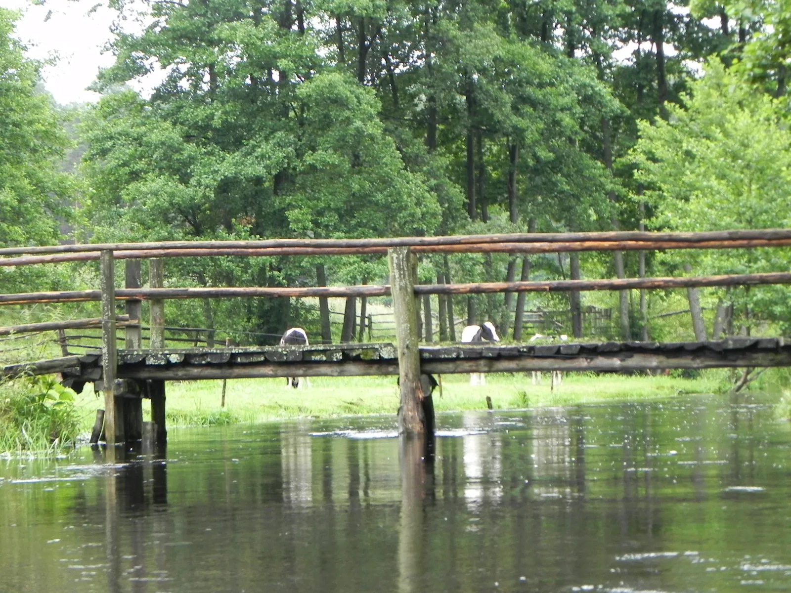 Photo showing: Chociński Młyn, Zaborski Park Krajobrazowy - zakole Chociny