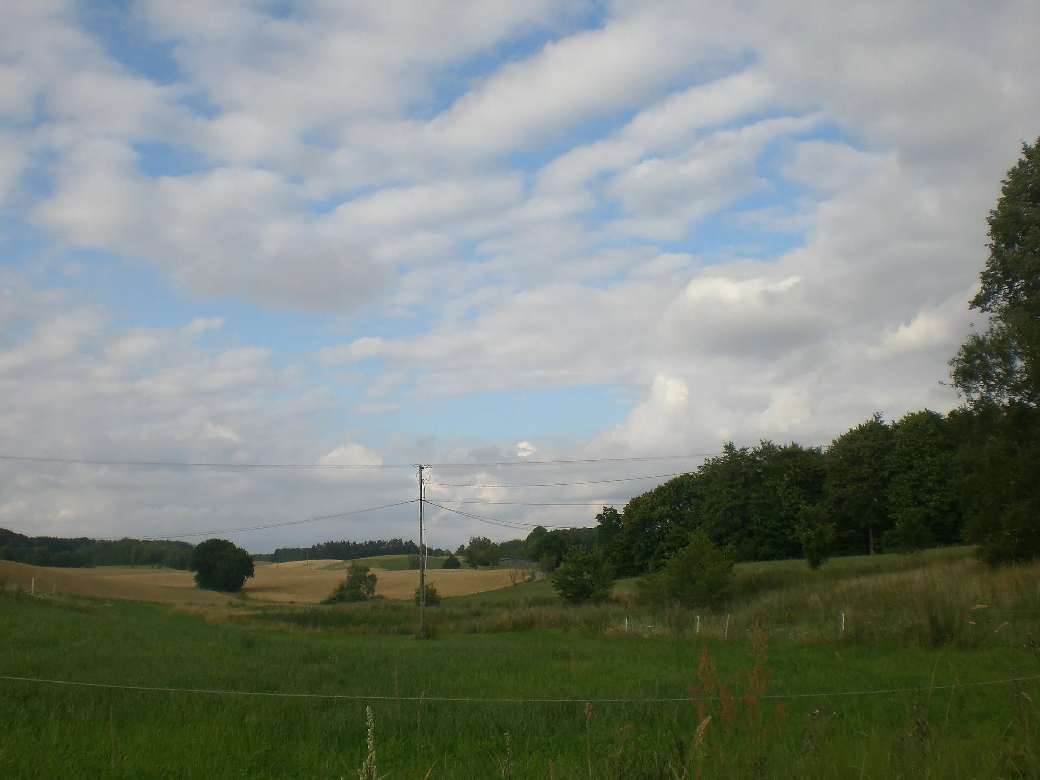 Photo showing: Częstocin