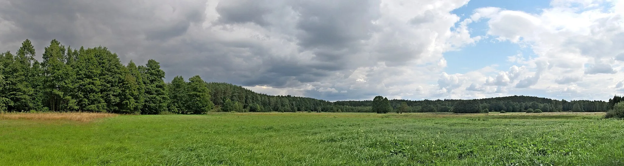 Photo showing: Osowo Leśne położone jest w gminie Lubichowo na Kociewiu.