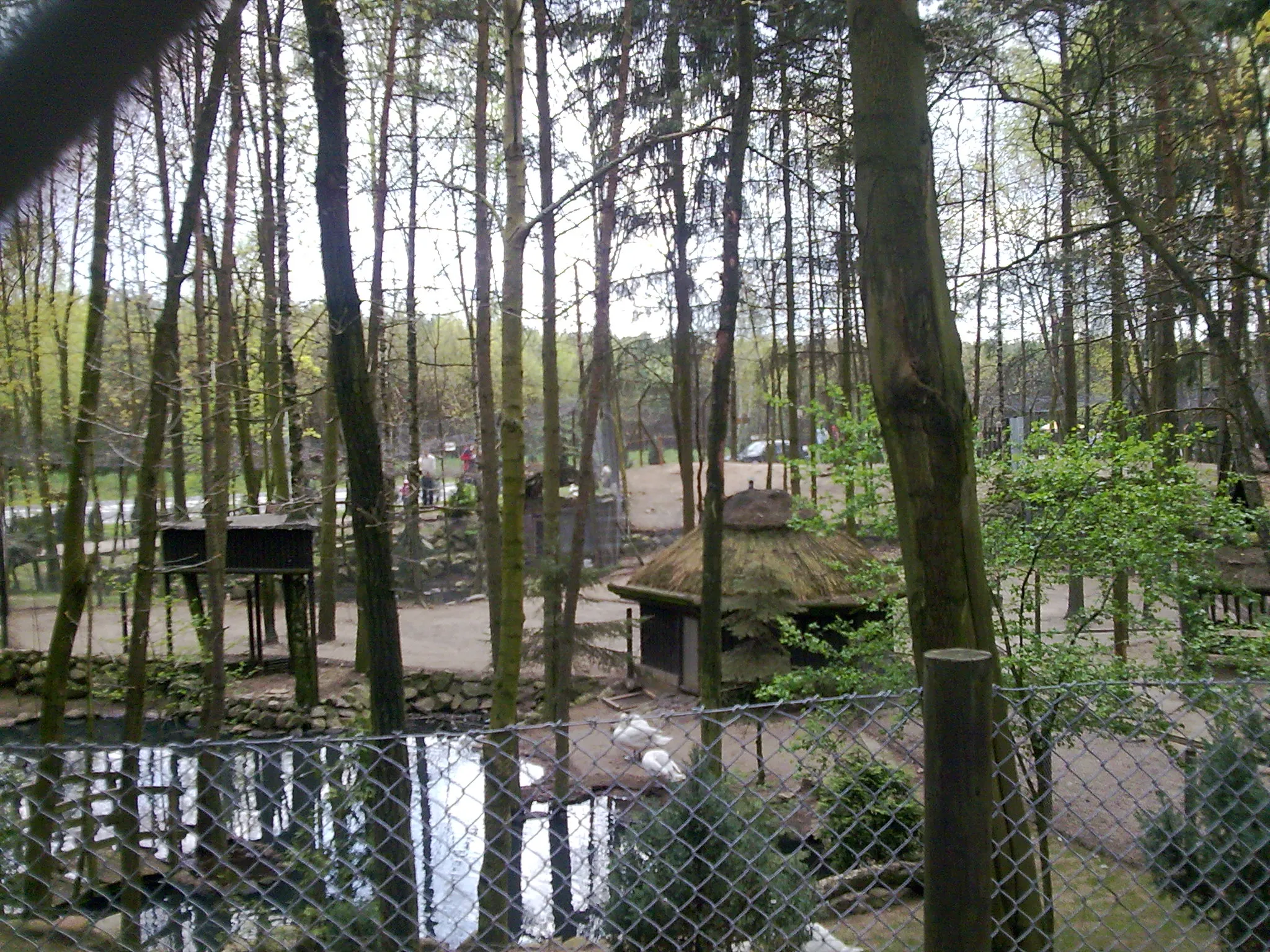 Photo showing: Sieroczyn - Mini Zoo przy DK 22