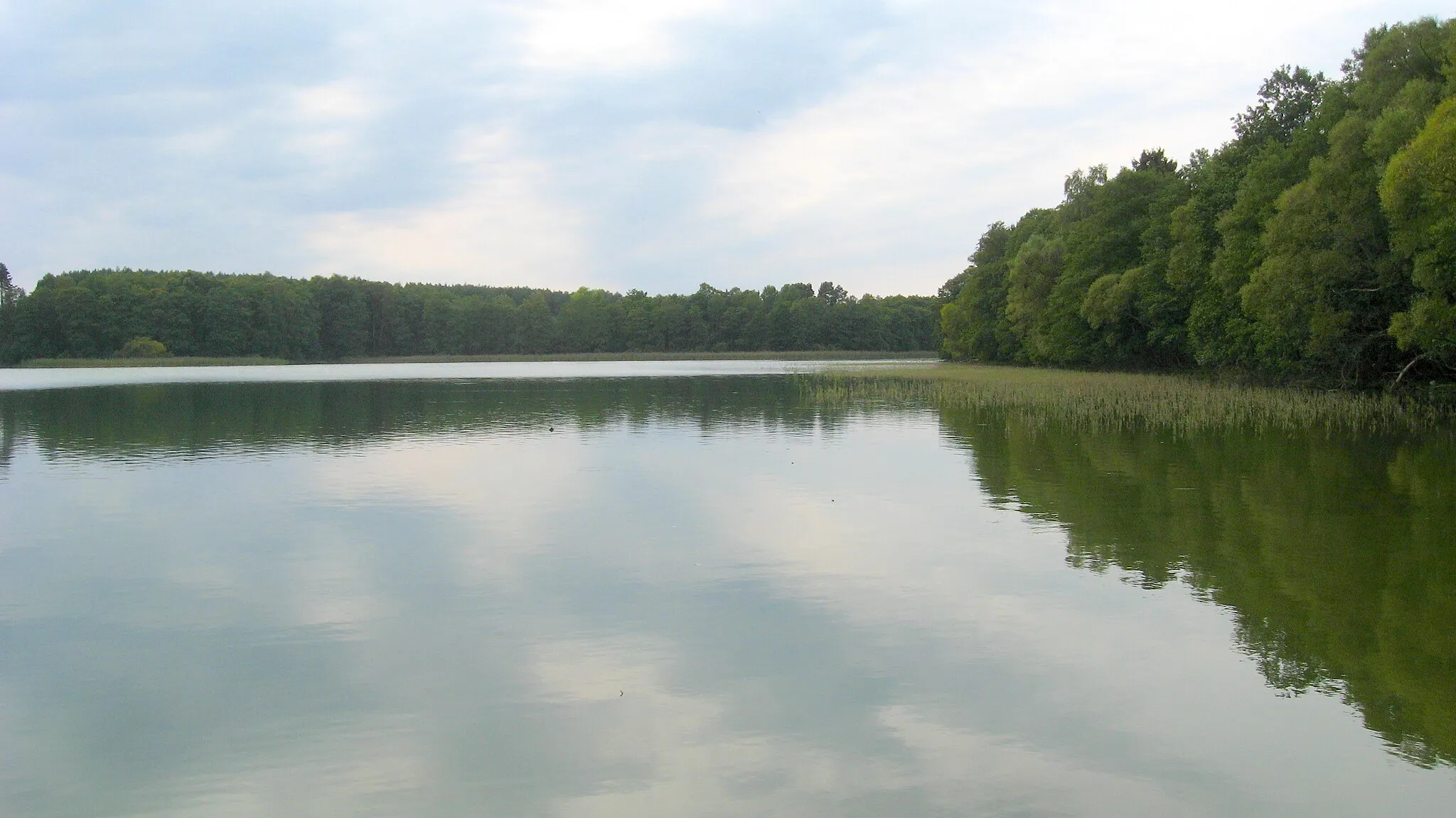 Photo showing: Jezioro Bielsko - widok z Trzmielewa w woj. pomorskim