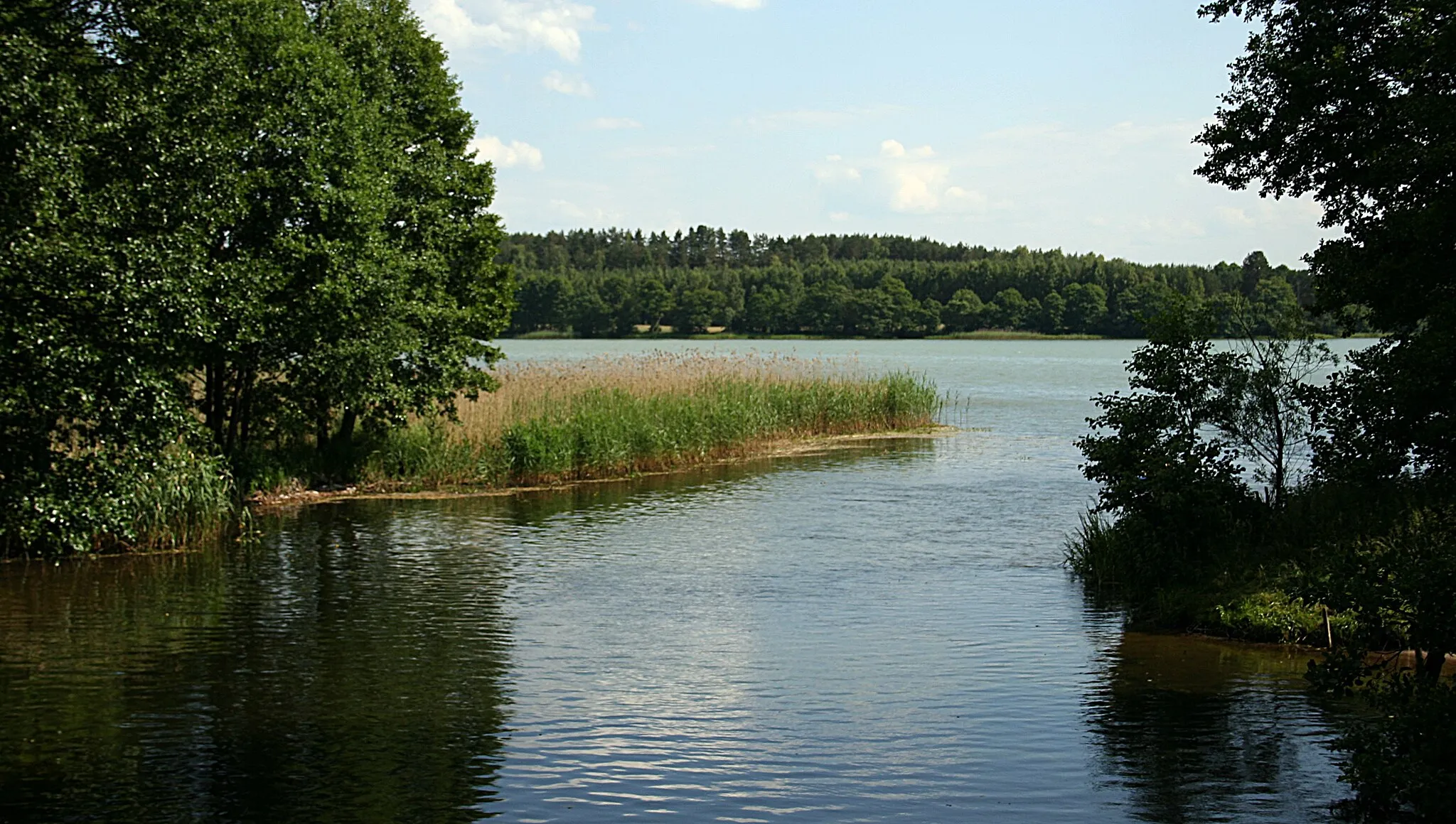 Photo showing: Wdzydzki Park Krajobrazowy, Wda wpływająca do jeziora Radolne