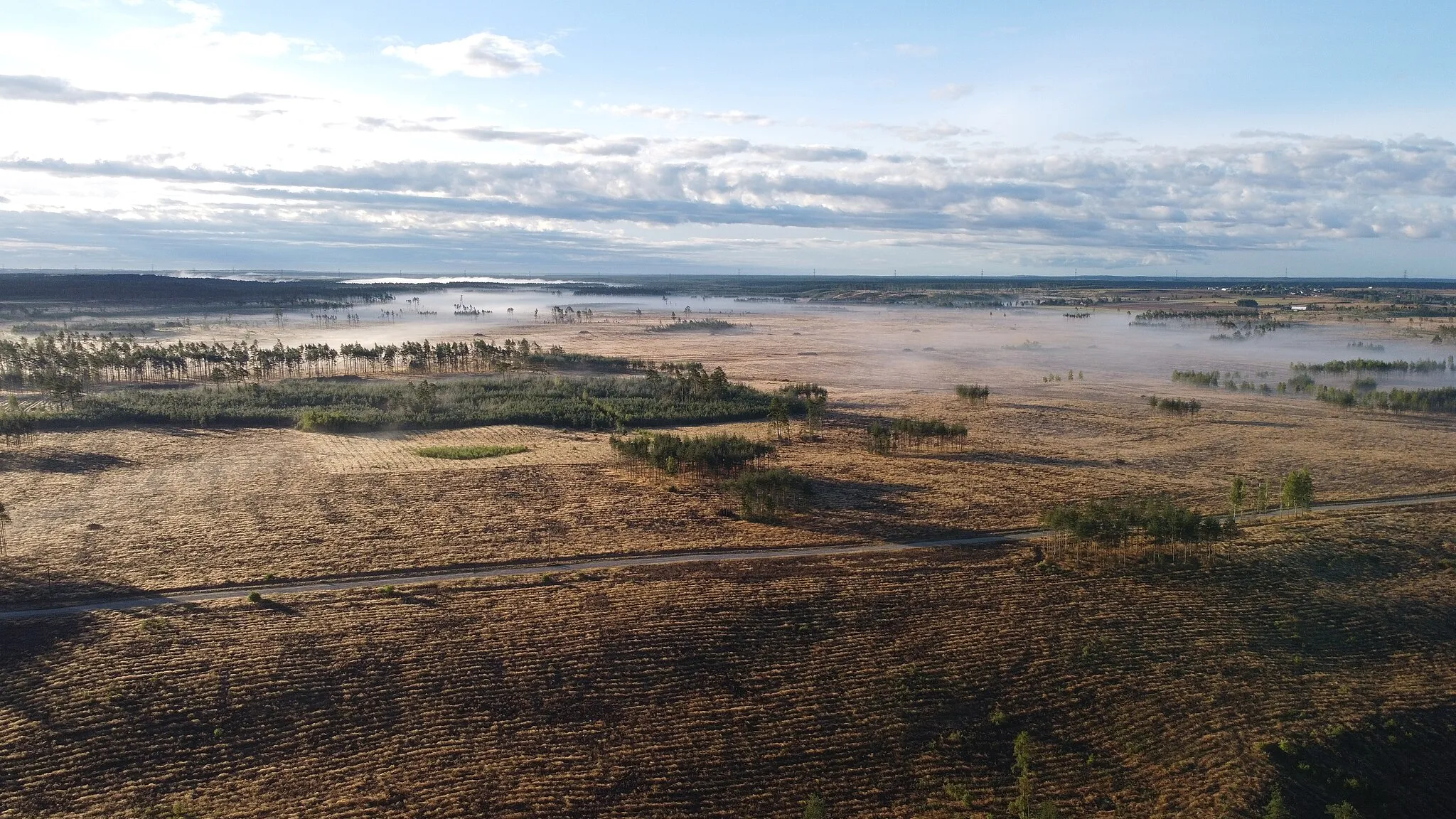 Photo showing: Widok na teren po zniszczonym lesie w 2020 roku