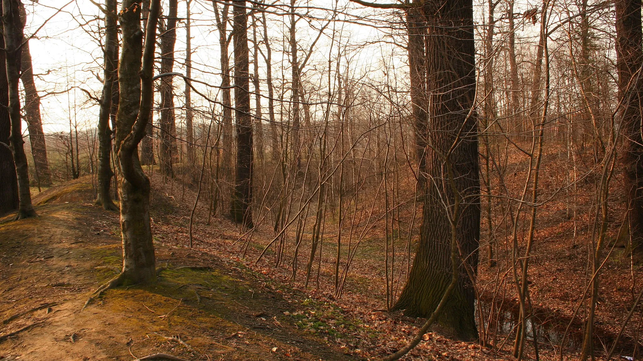 Photo showing: fosa grodziska w Grodzisku, gmina Wręczyca Wielka, powiat kłobucki, województwo śląskie