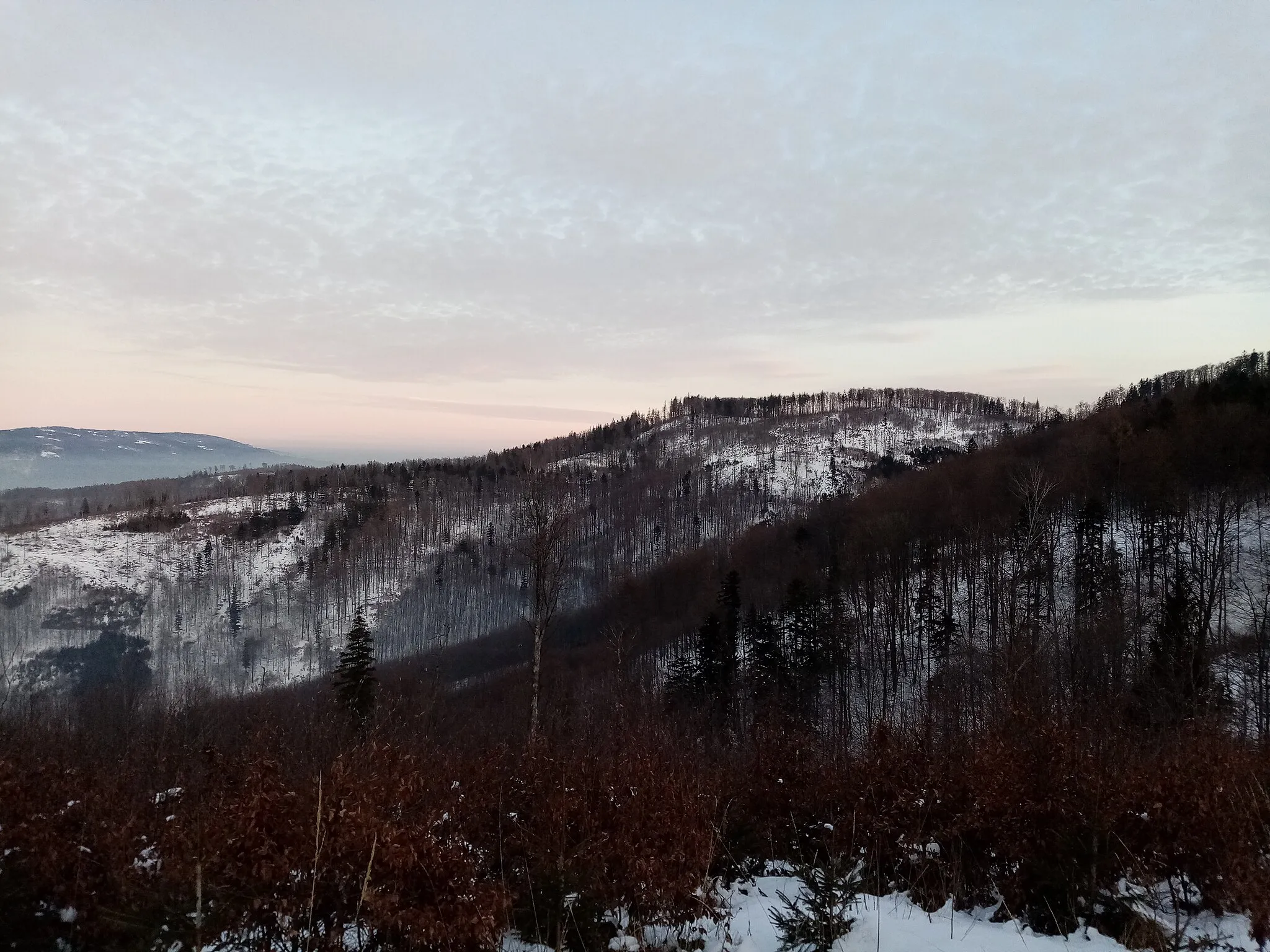 Photo showing: Silesian Beskids at Winter view from Dylówka