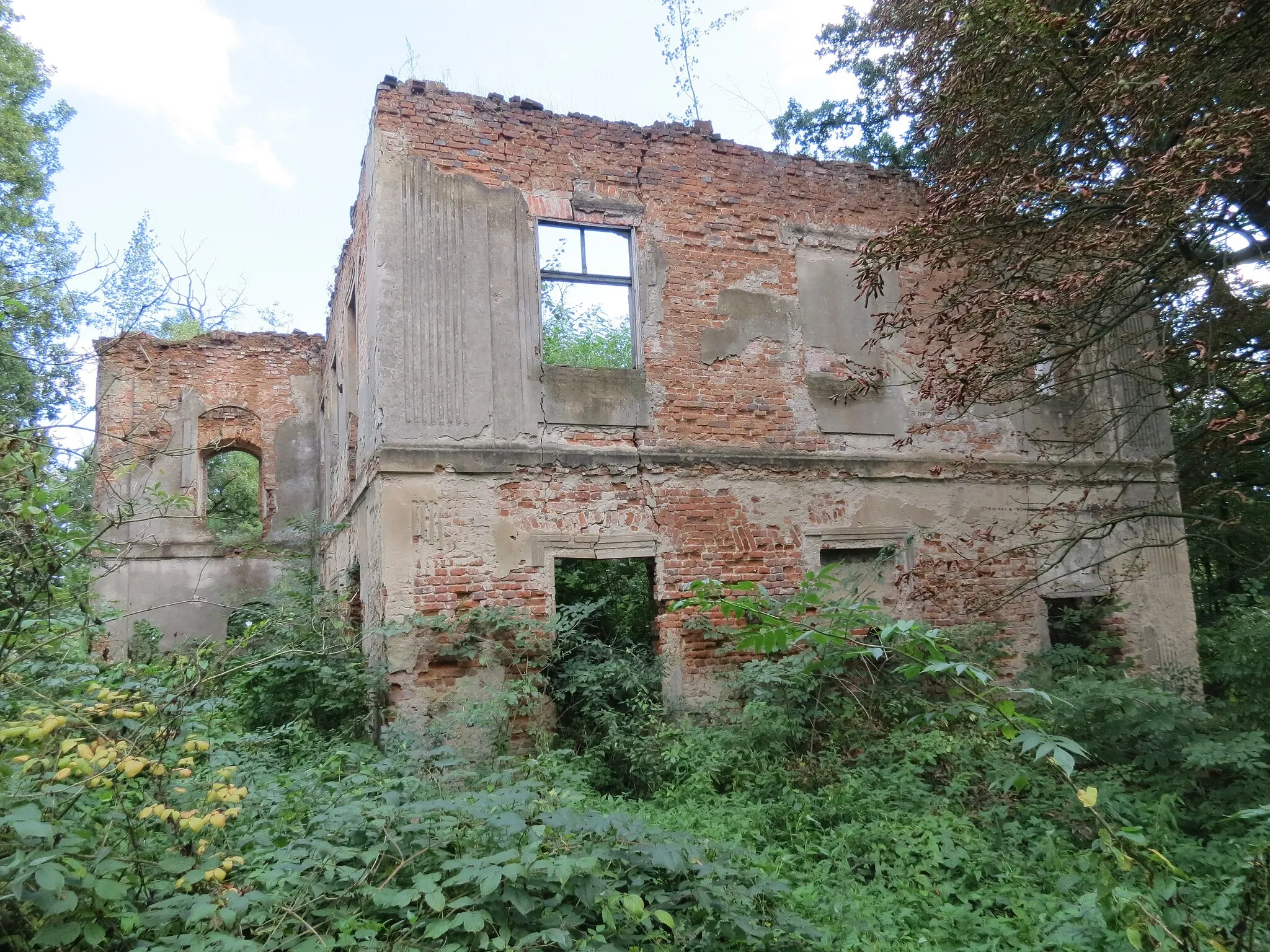 Photo showing: Ruiny dworu w Jasionie
