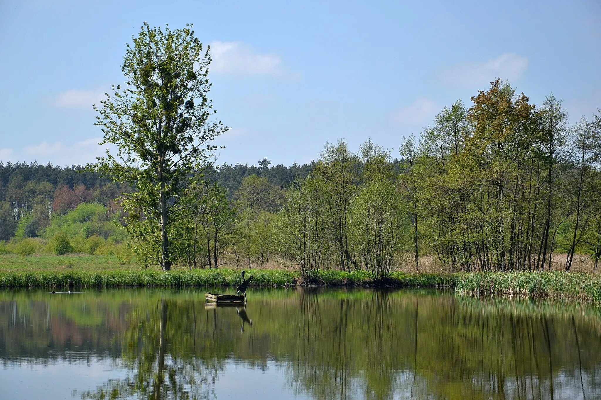 Photo showing: Gzel Mały lake, Rybnik, Upper Silesia