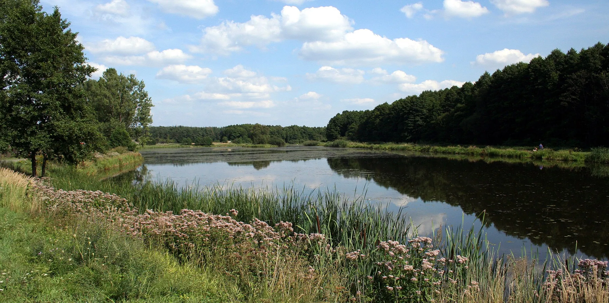 Photo showing: staw hodowlany w Lisowie, powiat lubliniecki