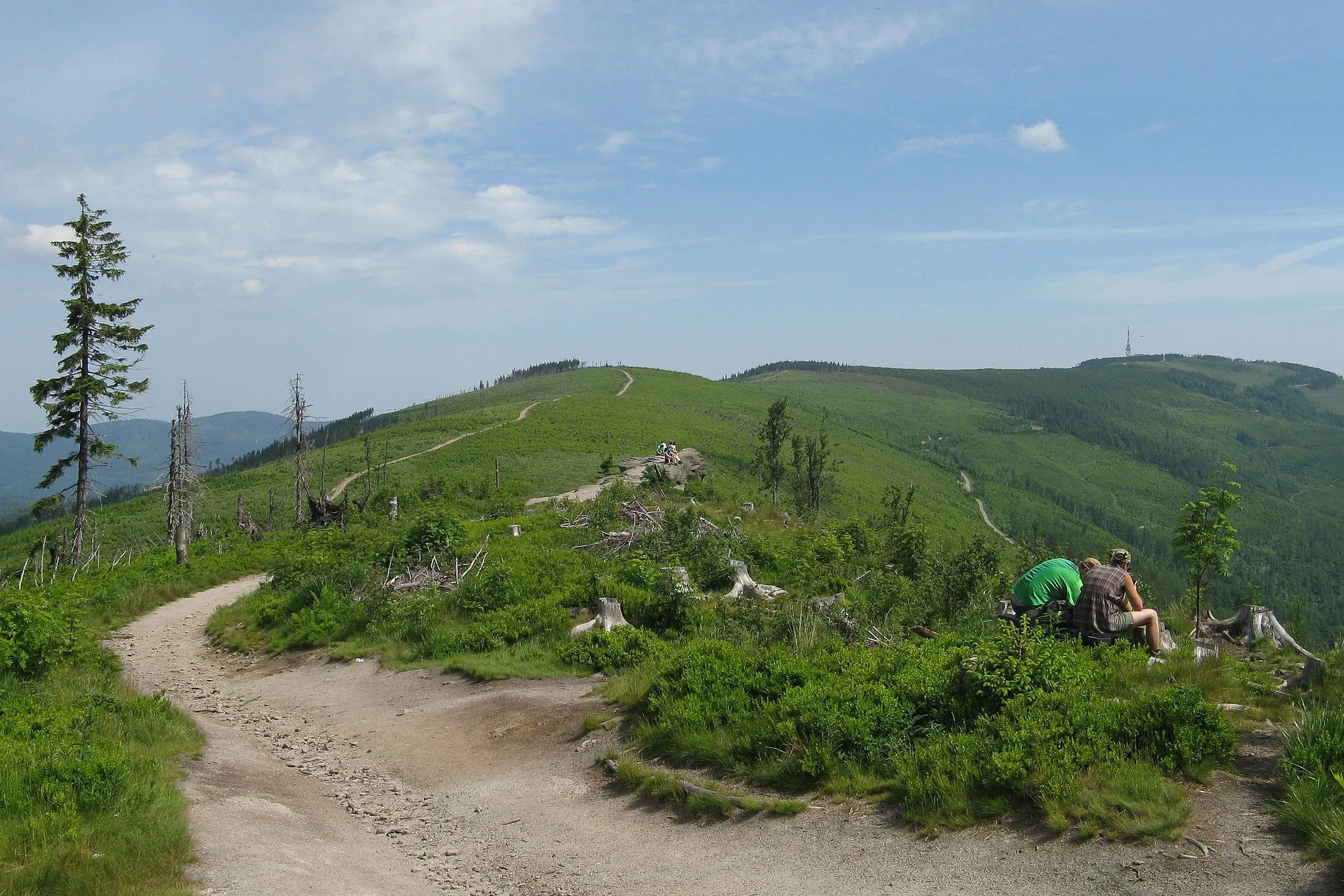 Photo showing: Peaks in Beskid Śląski: Kopa Skrzyczeńska (1189 m a.s.l.) and Małe Skrzyczne (1211 m a.s.l.), view from Malinowska Skała, Silesian Beskids, Poland.