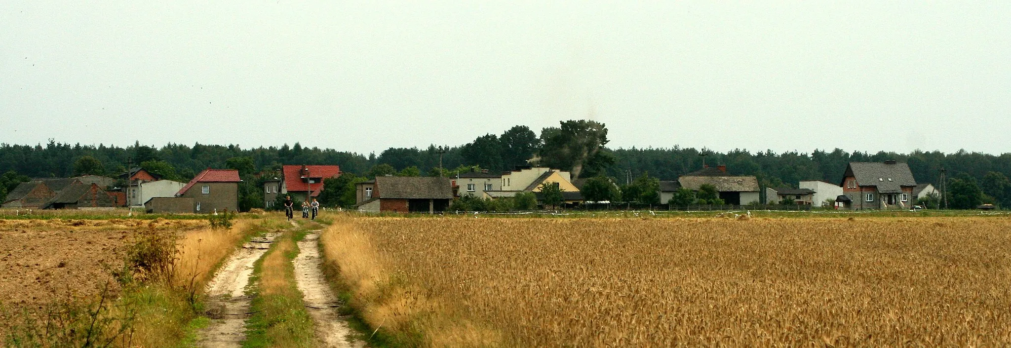 Photo showing: Droniowice, powiat lubliniecki, widok wsi od strony północnej