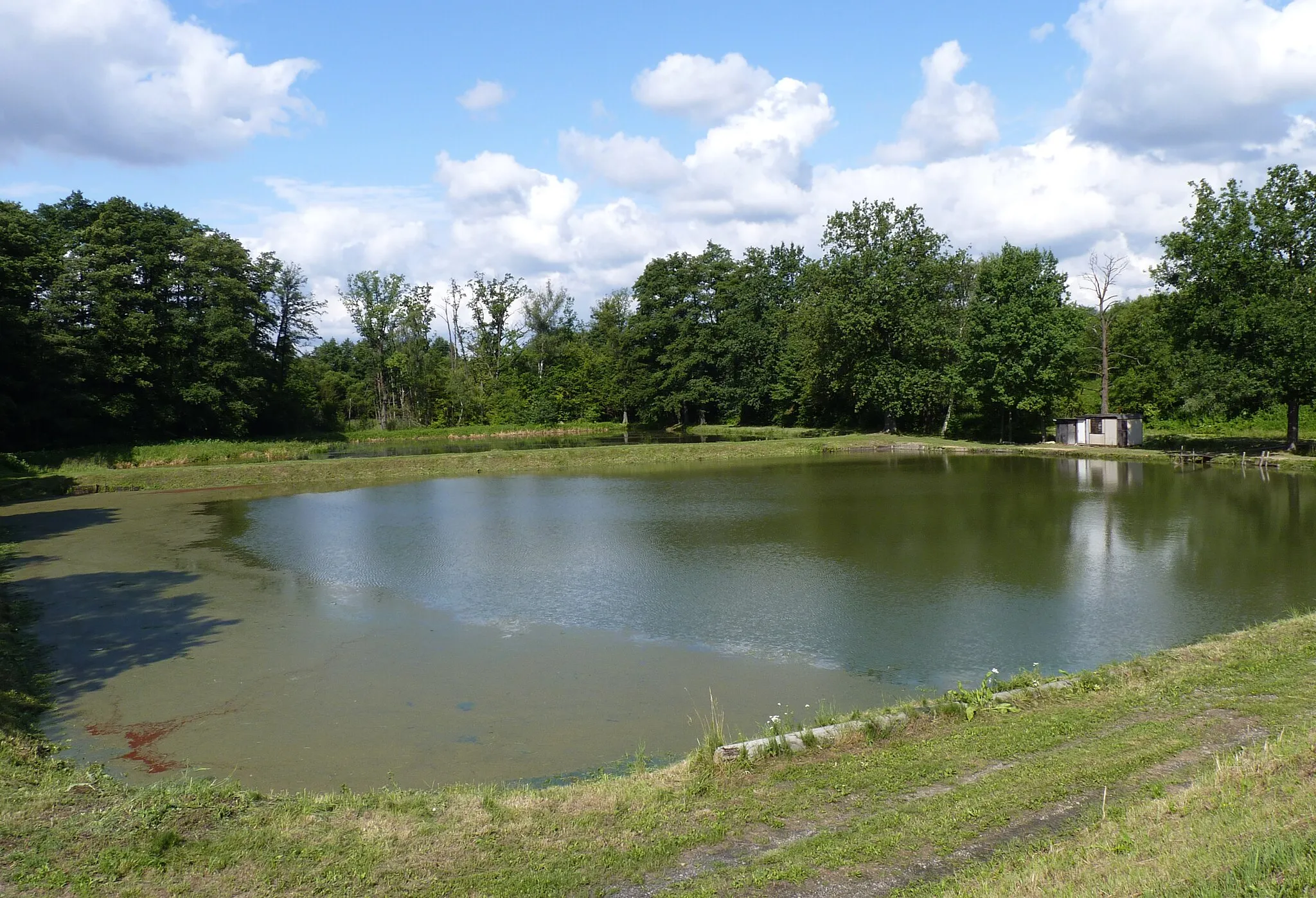 Photo showing: Pond. Stonava, Karviná District, Moravian-Silesian Region, Czech Republic