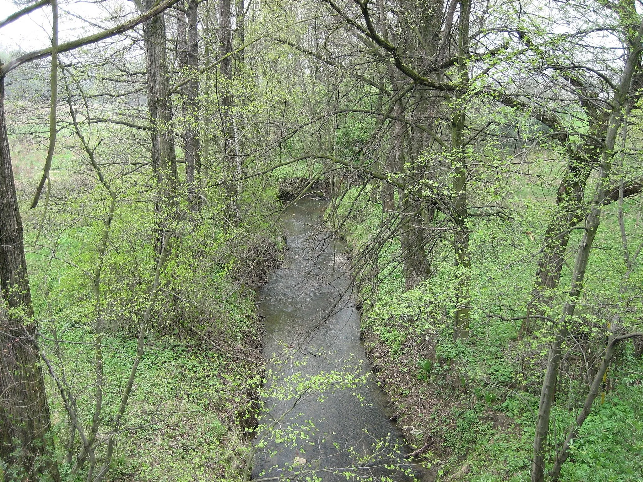 Photo showing: Potok Venclůvka v městě Šenov.