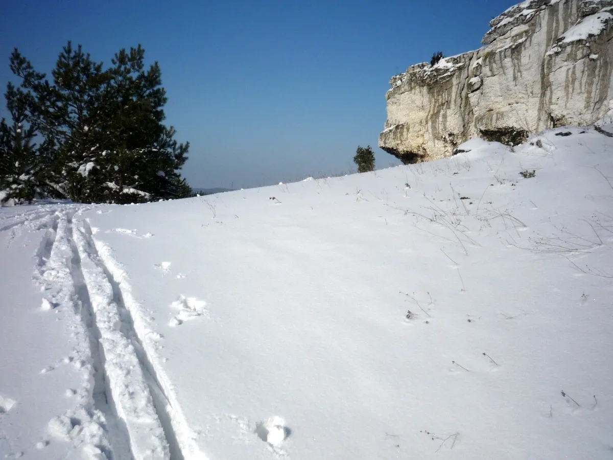 Photo showing: only a trace or perhaps two - tylko ślad a może dwa.