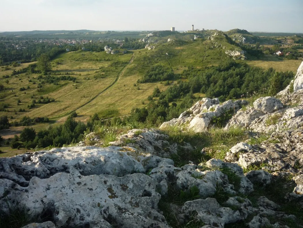 Photo showing: Jura - widok na zamek w Olsztynie