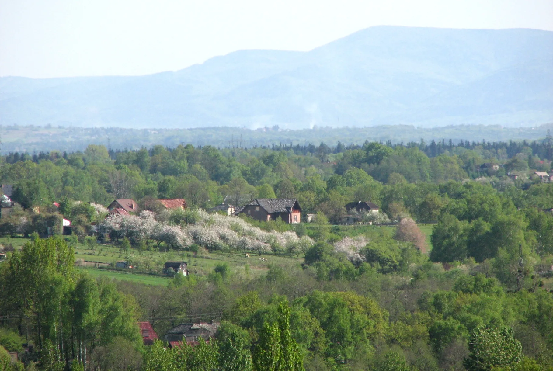 Photo showing: Ruptawa, Jastrzębie Zdrój, Poland, Beskidy, Javorovy, Czech Republic
