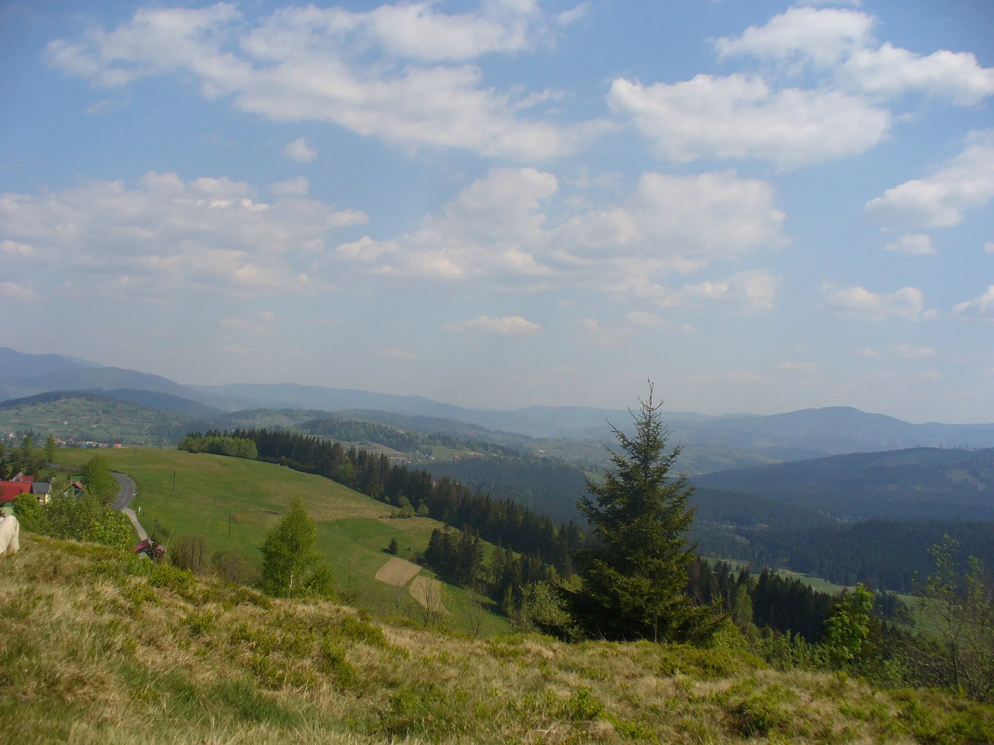 Photo showing: widok z Koczego Zamku