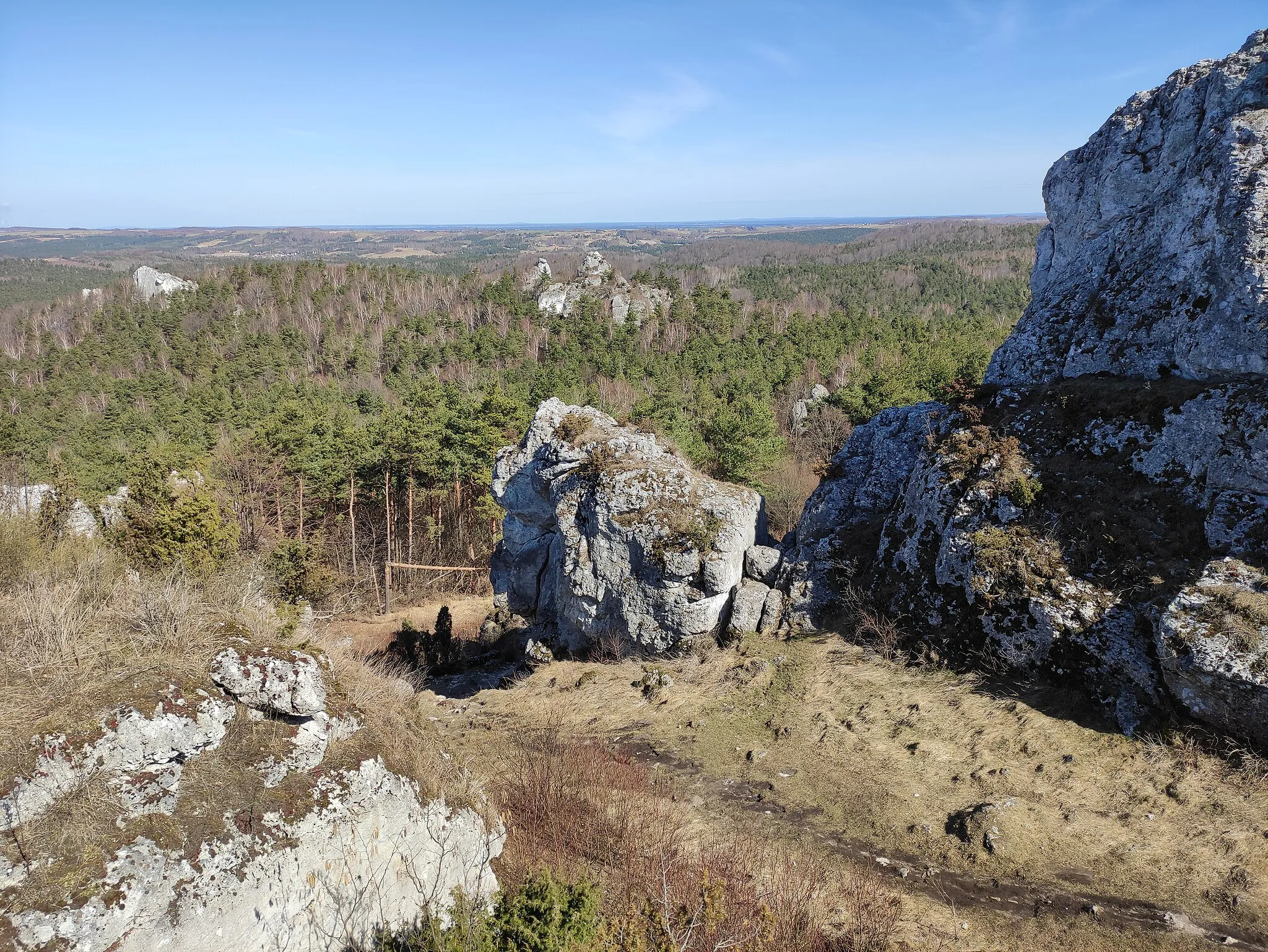 Photo showing: Skály, Góra Zborów, gmina Kroczyce, Slezské vojvodství, Polsko