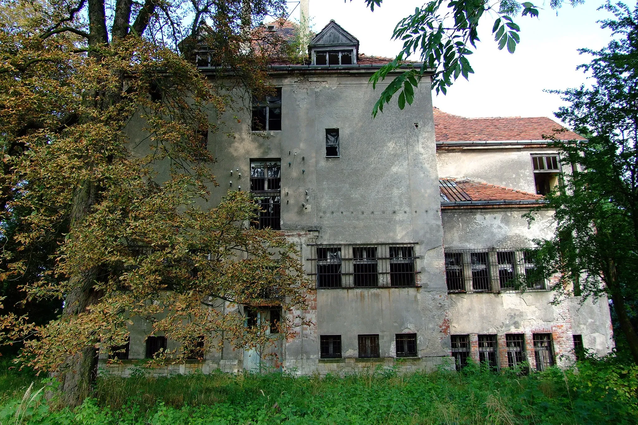 Photo showing: Pałac w Dralinach