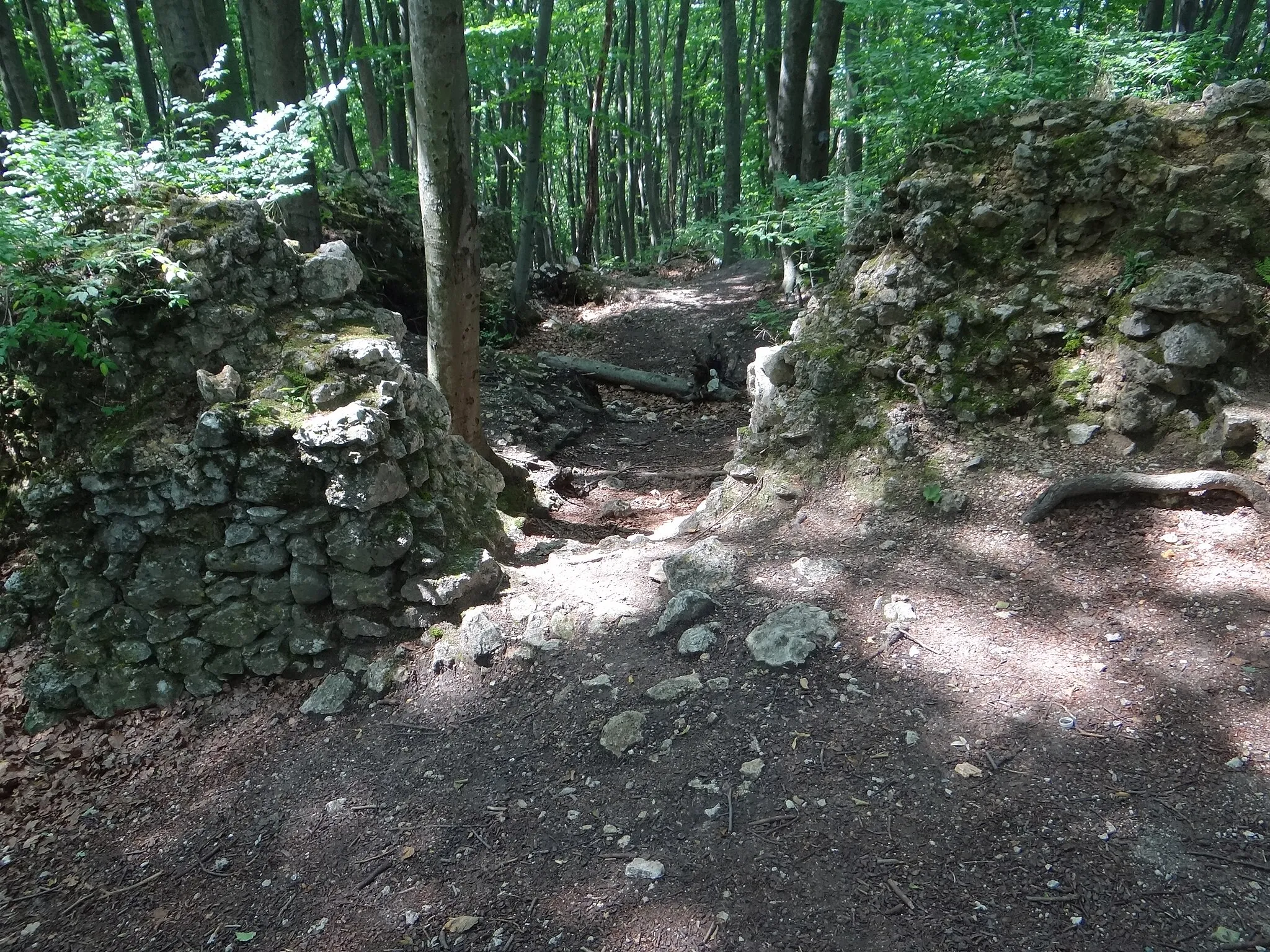 Photo showing: Zamek Ostrężnik