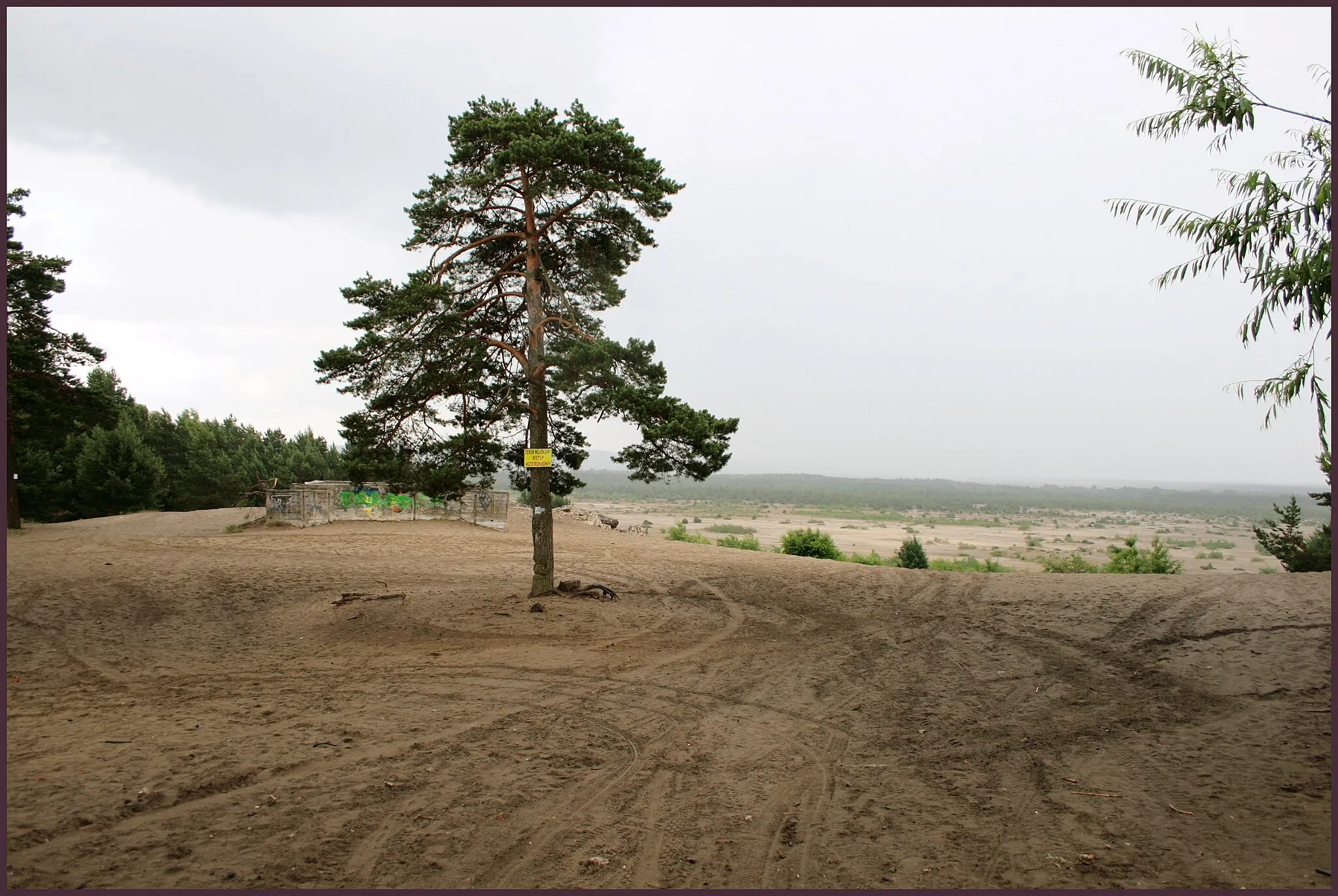 Photo showing: Pustynia Błędowska - Polish Sahara