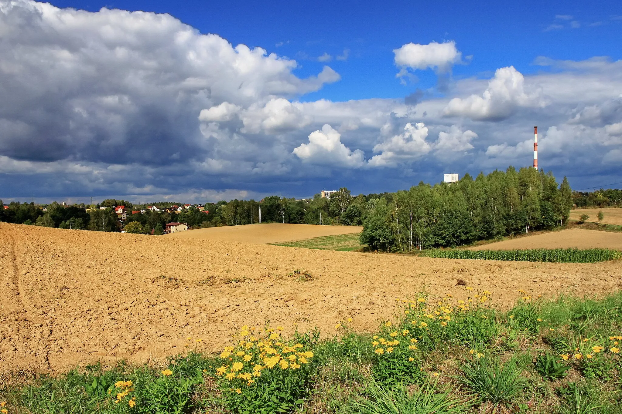 Photo showing: View of the field. Bukowa Street. Jastrzębie-Zdrój, Silesian Voivodeship, Poland.