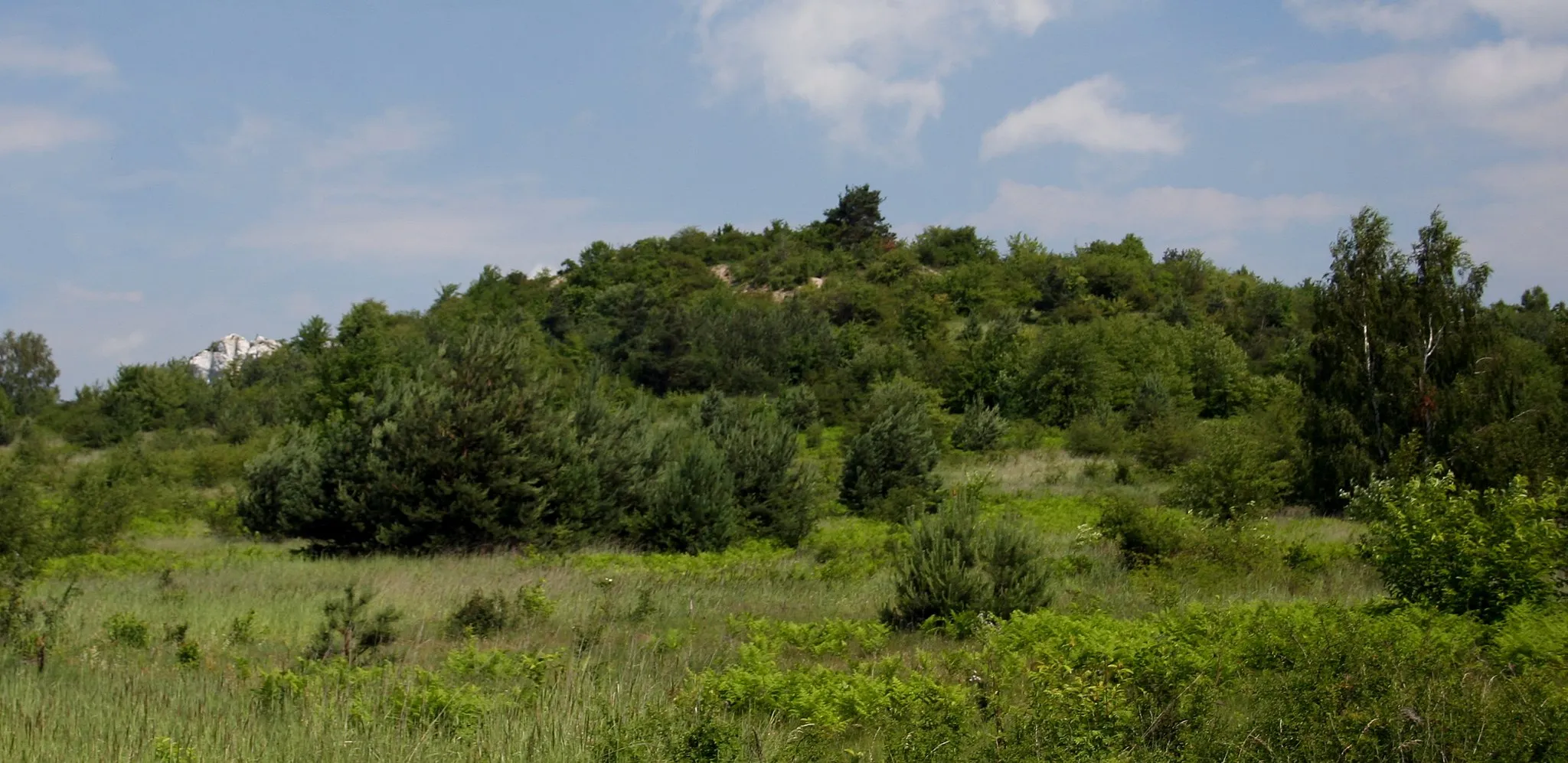Photo showing: Góra Ossona, Częstochowa